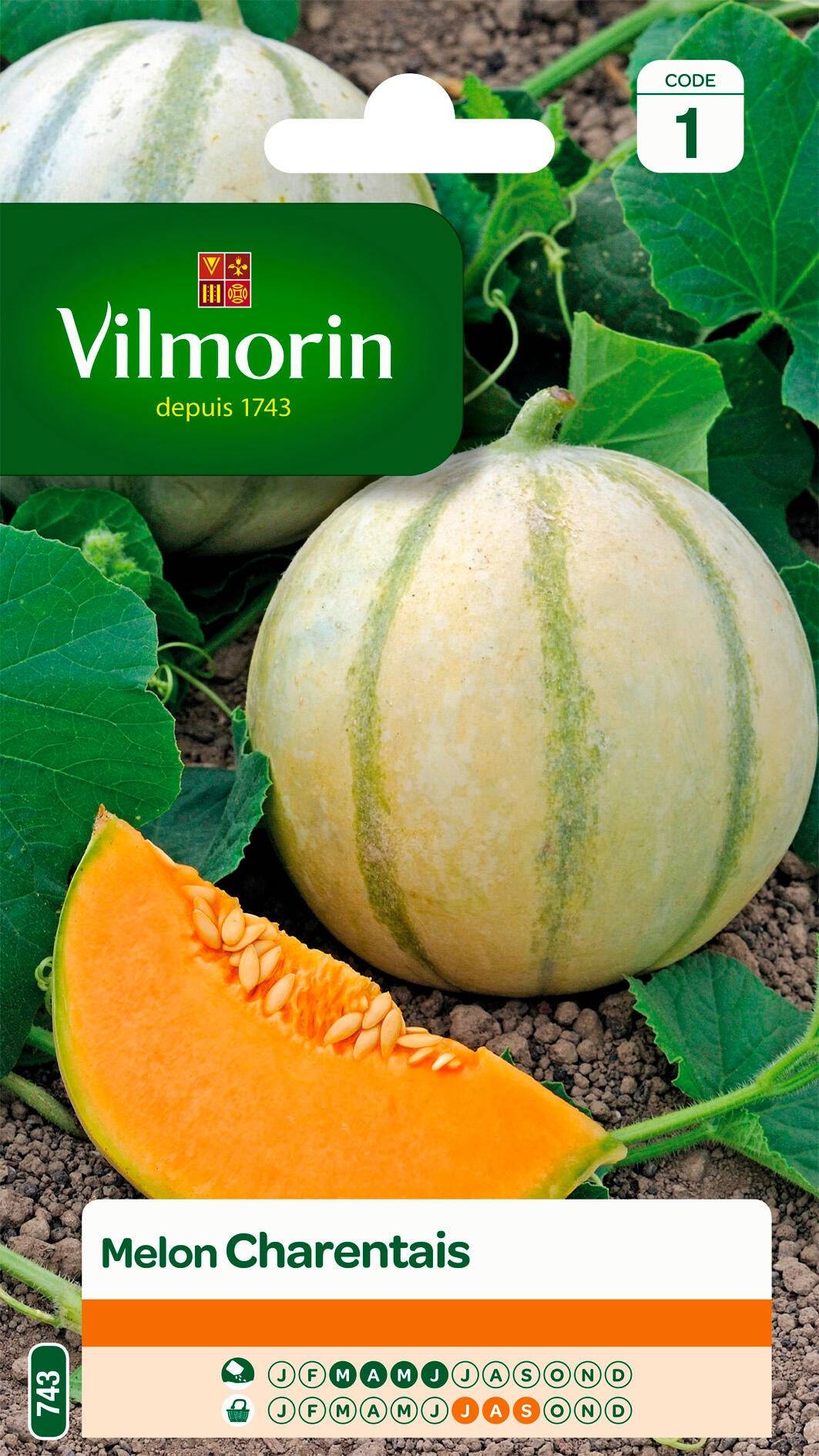 Vilmorin - Melon Charentais série 1 sachet graines 3 g - Vilmorin - Image 2