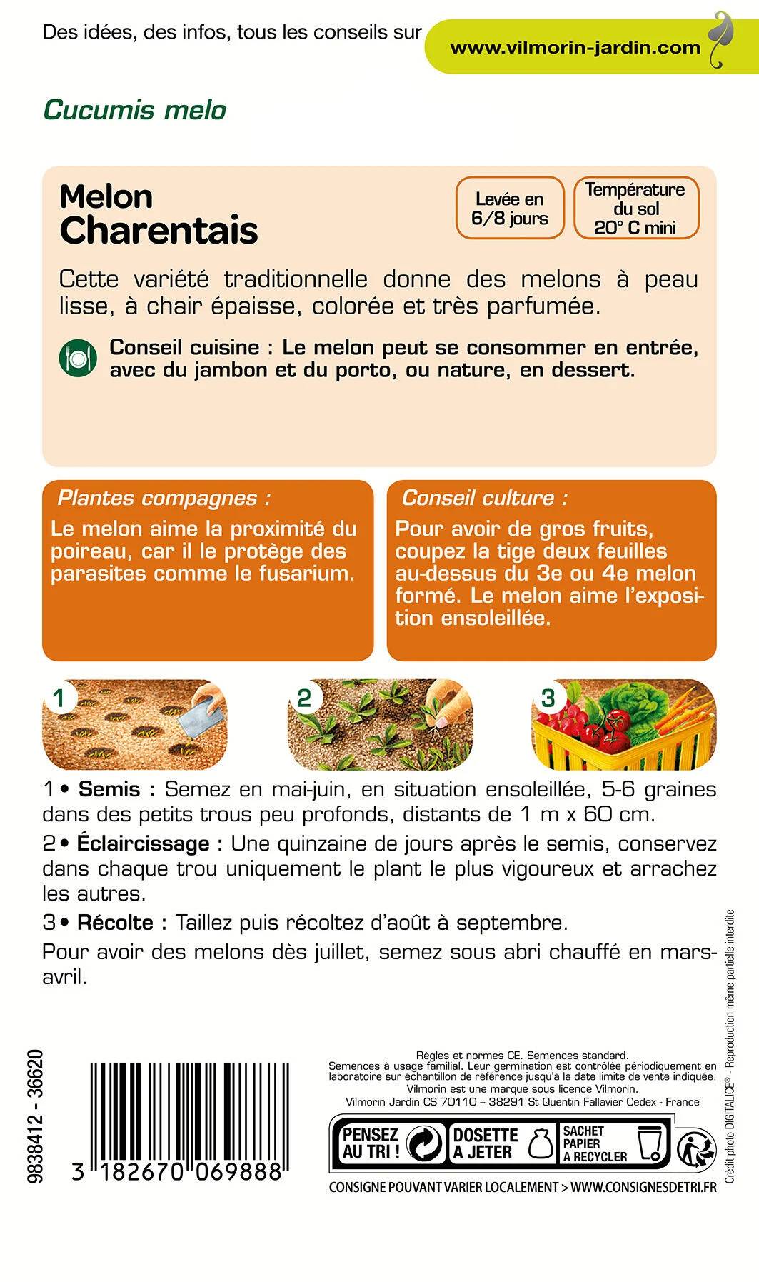 Vilmorin - Melon Charentais série 1 sachet graines 3 g - Vilmorin - Image 4