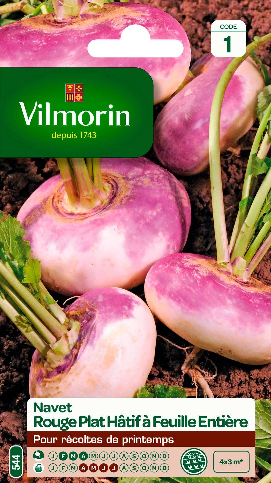 Vilmorin - Navet légume rouge plat hâtif a feuille entière série 1 sachet graines 4 g - Vilmorin - Image 2