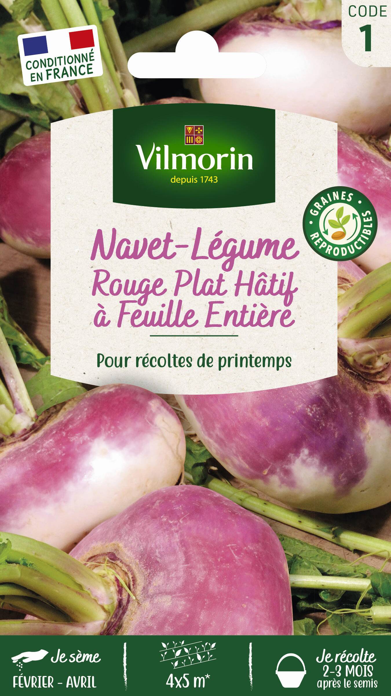 Vilmorin - Navet légume rouge plat hâtif a feuille entière série 1 sachet graines 4 g - Vilmorin - Image 3