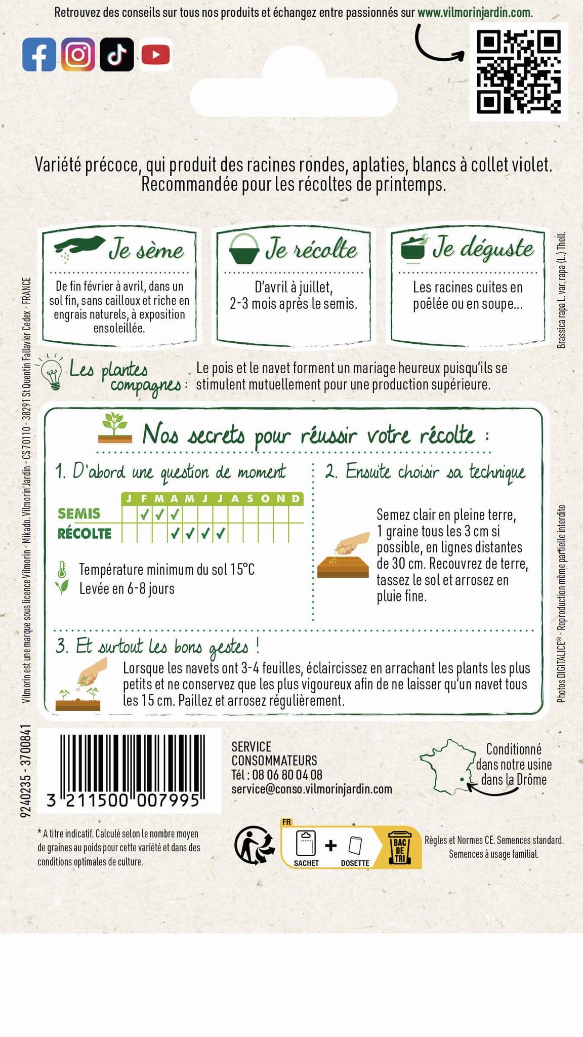 Vilmorin - Navet légume rouge plat hâtif a feuille entière série 1 sachet graines 4 g - Vilmorin - Image 4