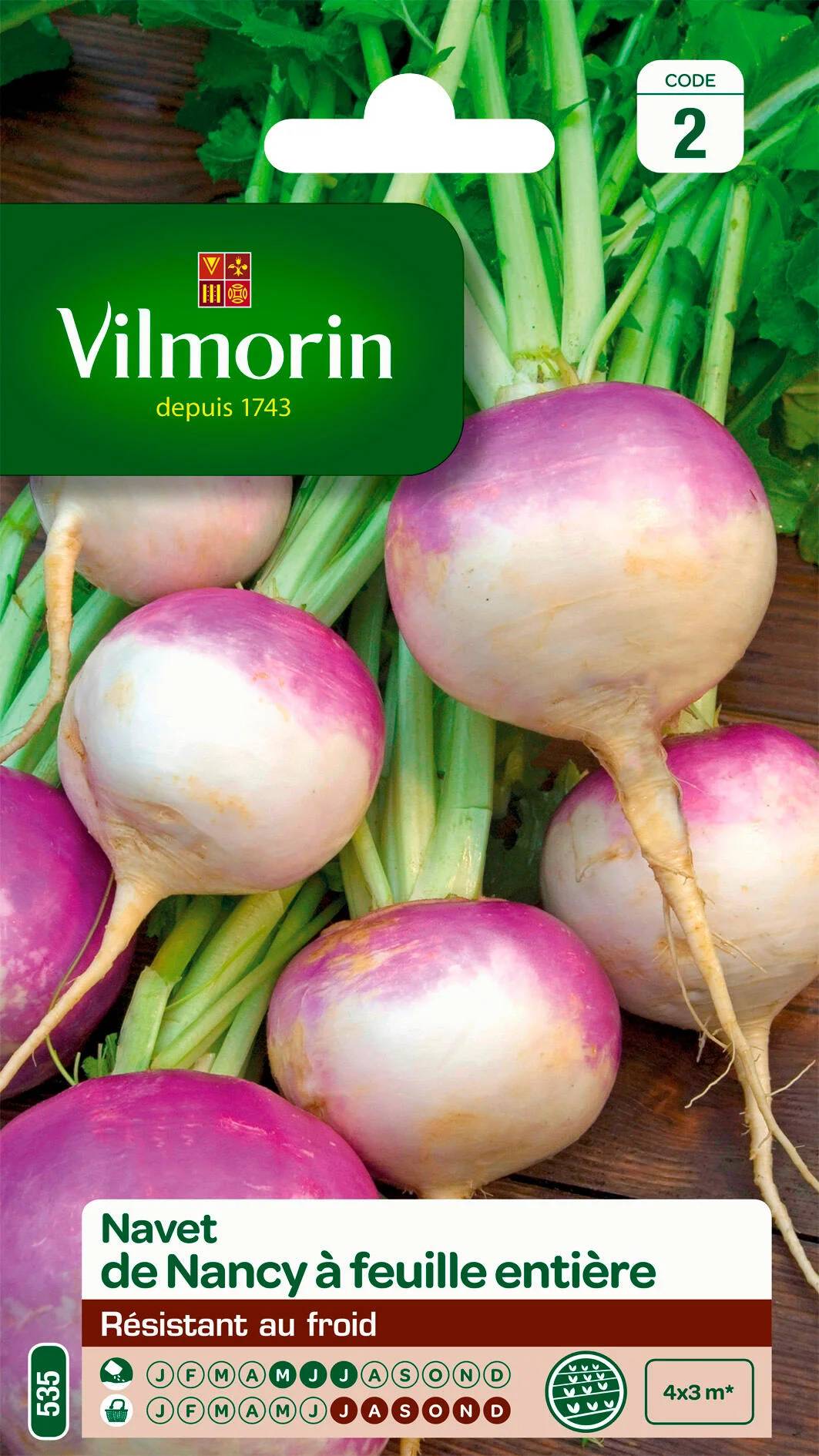 Vilmorin - Navet légume de Nancy a feuille entière série 2 sachet graines 4 g - Vilmorin