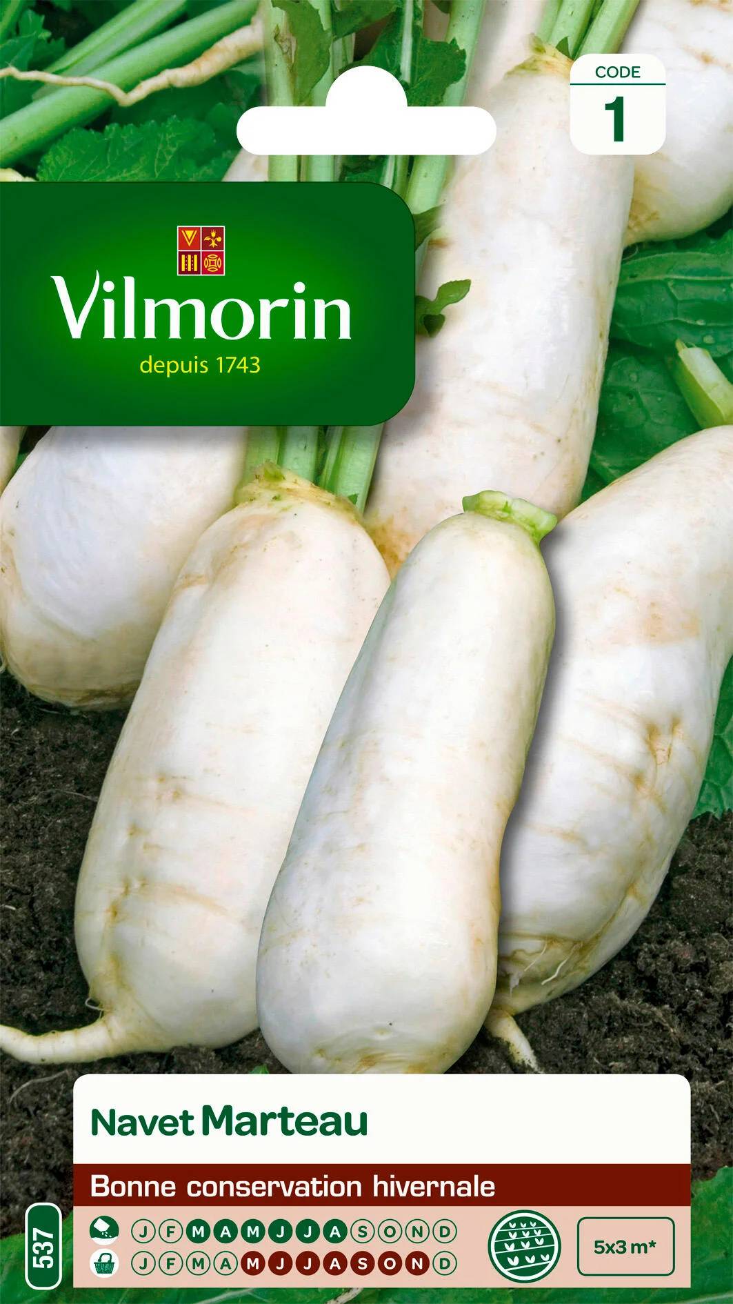 Vilmorin - Navet légume marteau série 1 sachet graines 4 g - Vilmorin - Image 1
