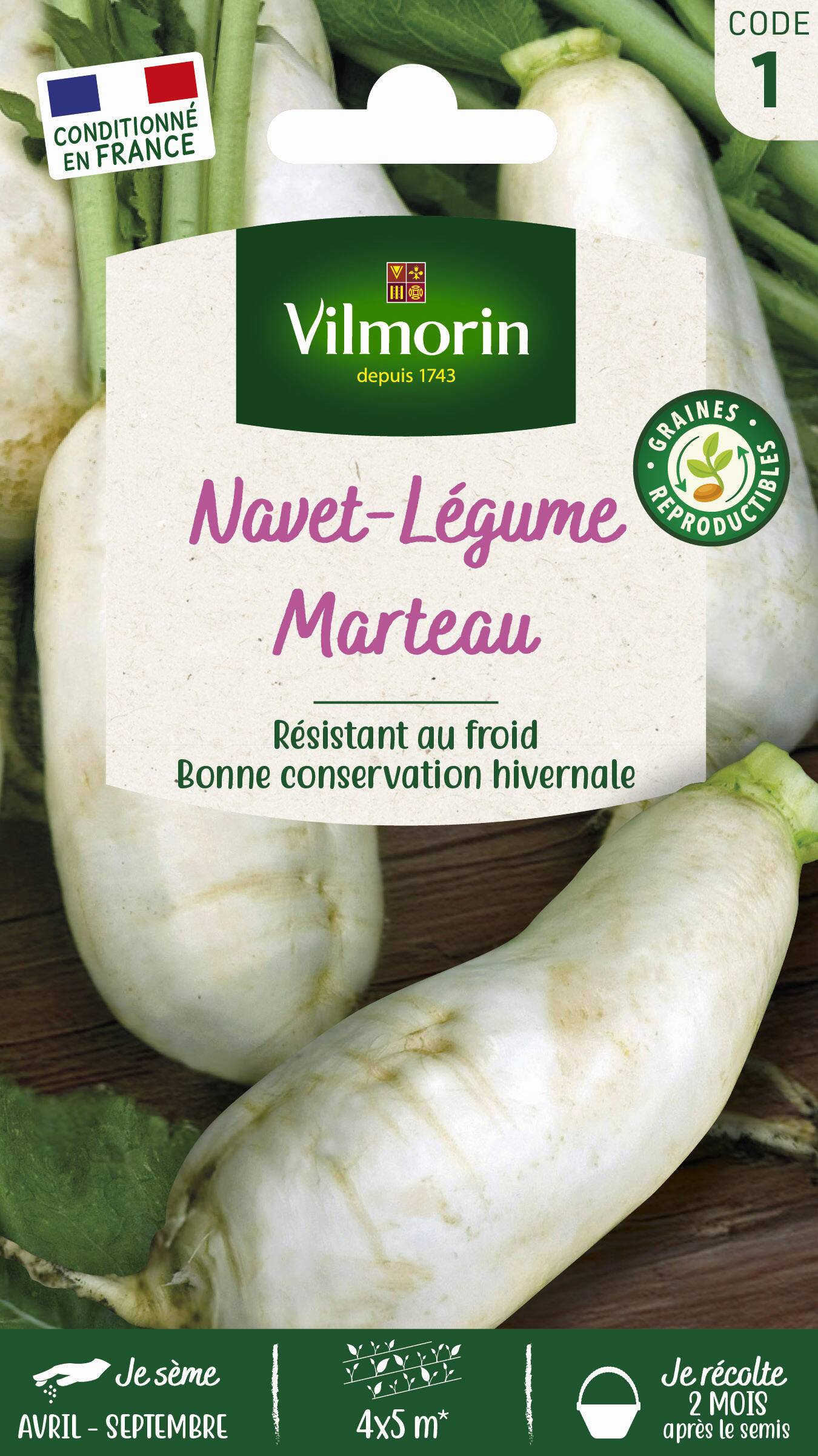 Vilmorin - Navet légume marteau série 1 sachet graines 4 g - Vilmorin - Image 3