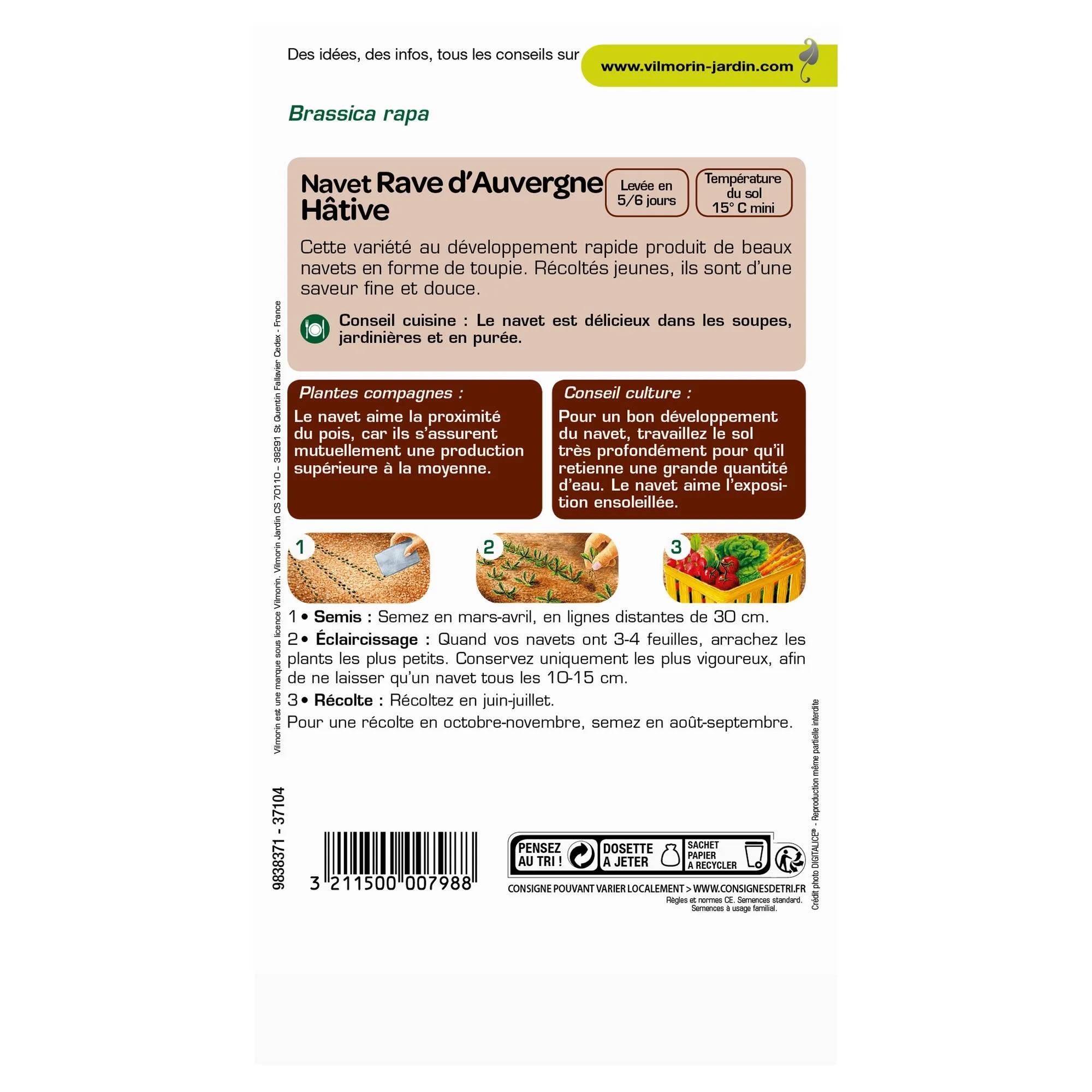Vilmorin - Navet légume rave d'Auvergne hâtif série 1 sachet graines 4 g - Vilmorin - Image 3