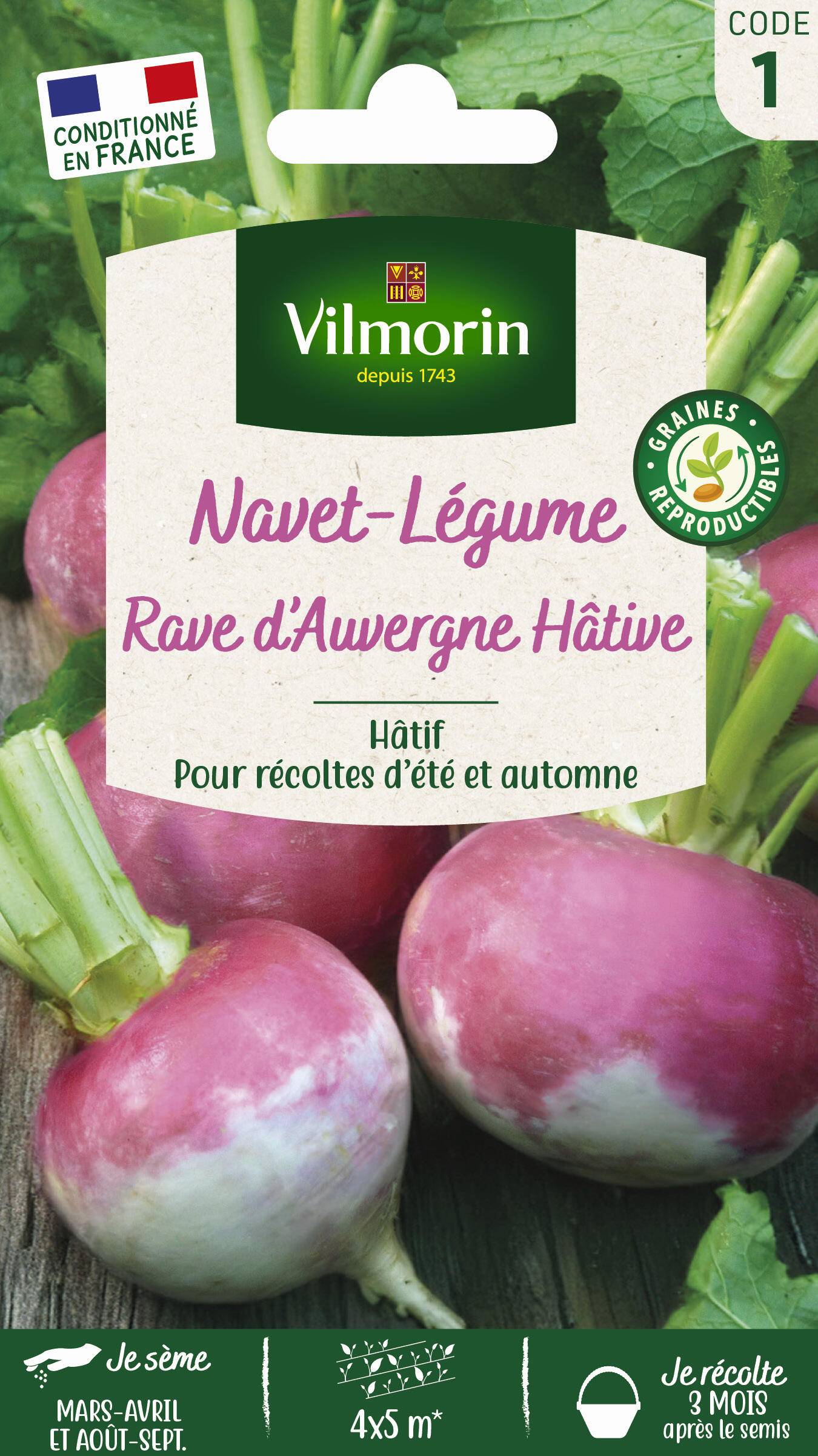 Vilmorin - Navet légume rave d'Auvergne hâtif série 1 sachet graines 4 g - Vilmorin - Image 2