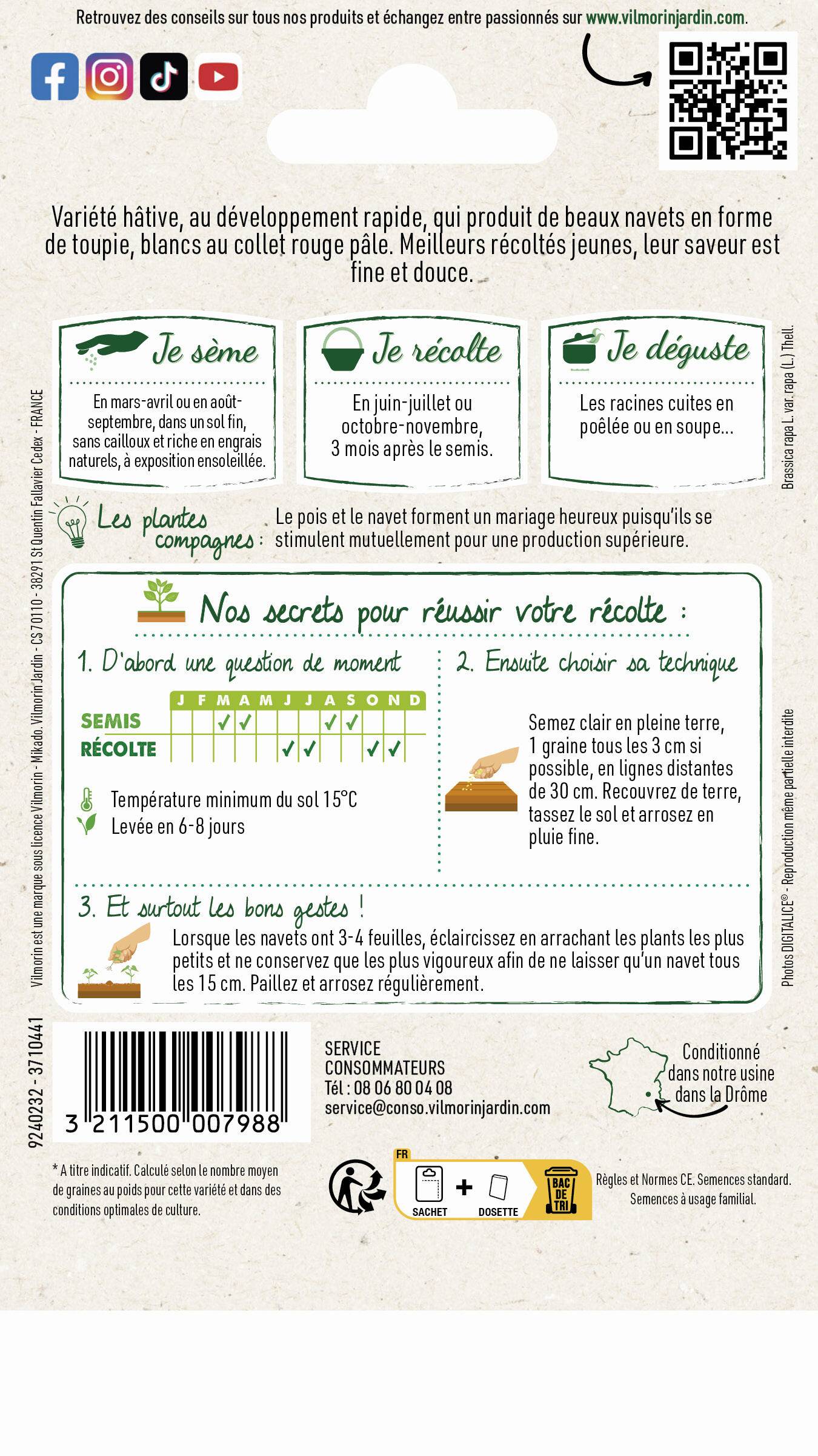 Vilmorin - Navet légume rave d'Auvergne hâtif série 1 sachet graines 4 g - Vilmorin - Image 4