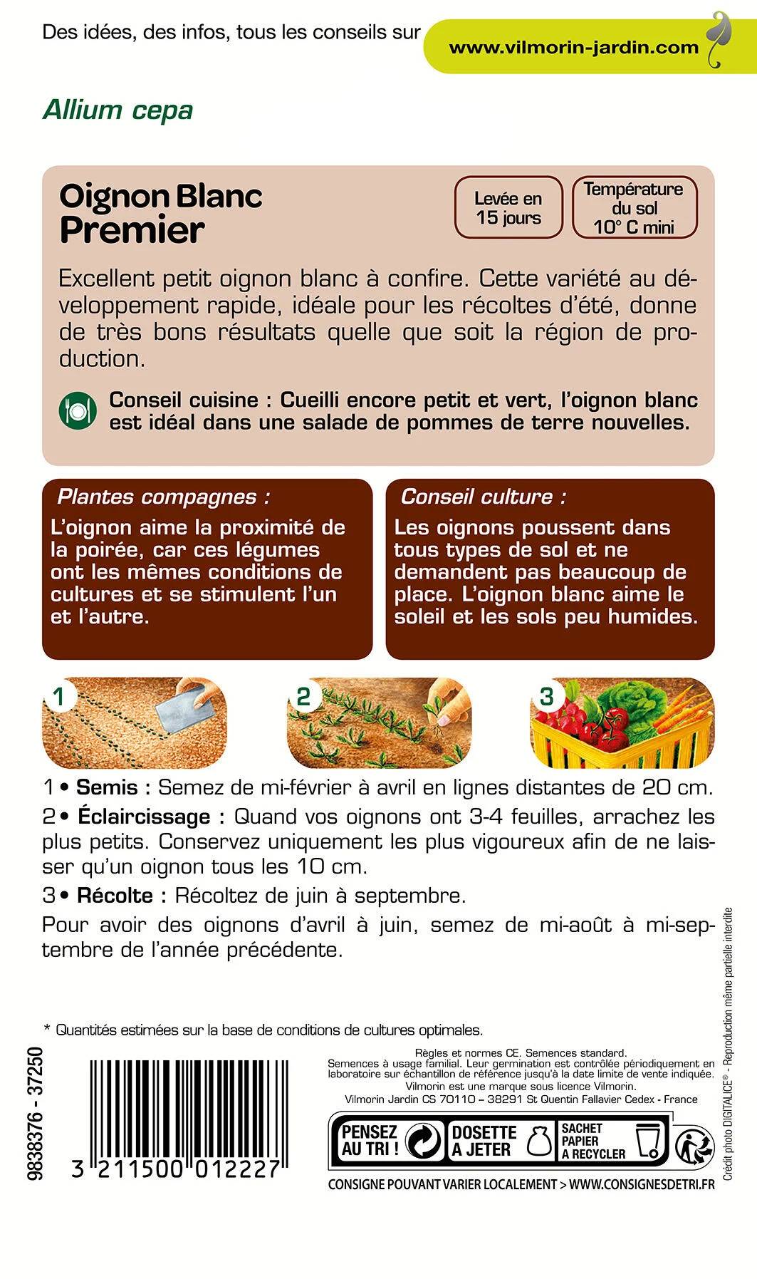 Vilmorin - Oignon blanc premier série 2 sachet graines 3 g - Vilmorin - Image 3