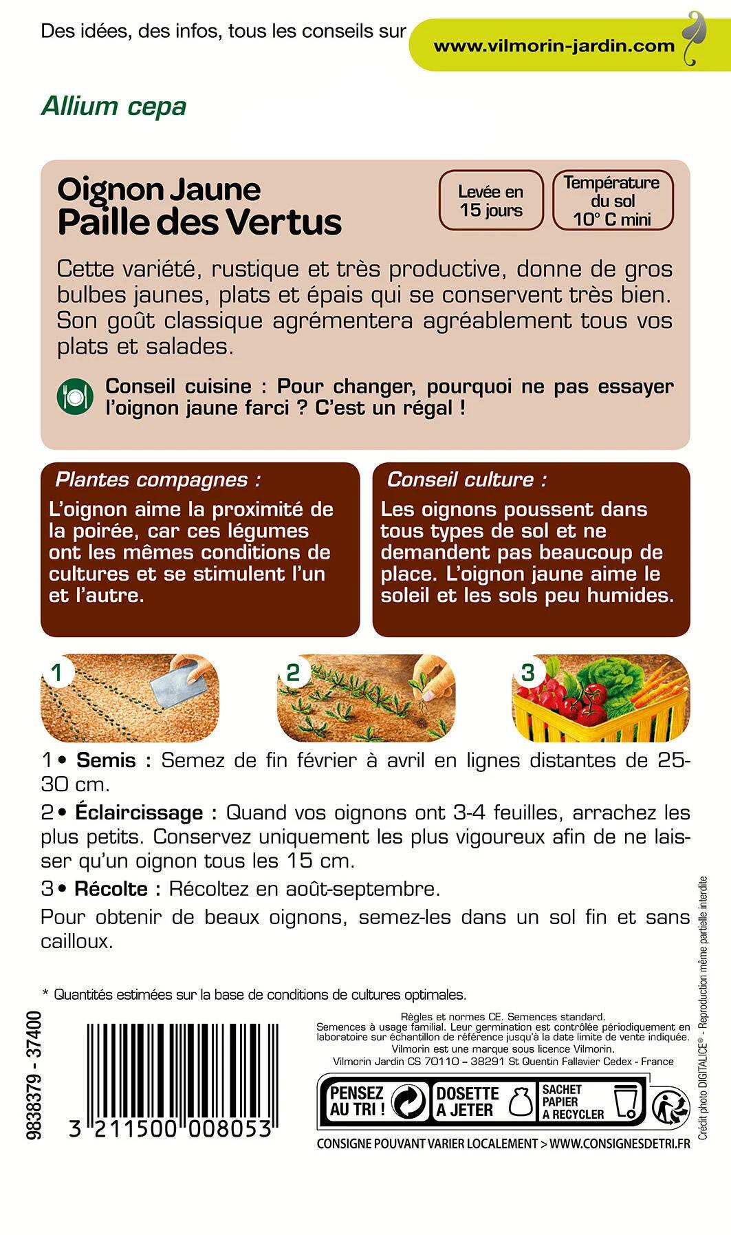 Vilmorin - Oignon jaune paille des vertus série 1 sachet graines 3 g - Vilmorin - Image 2