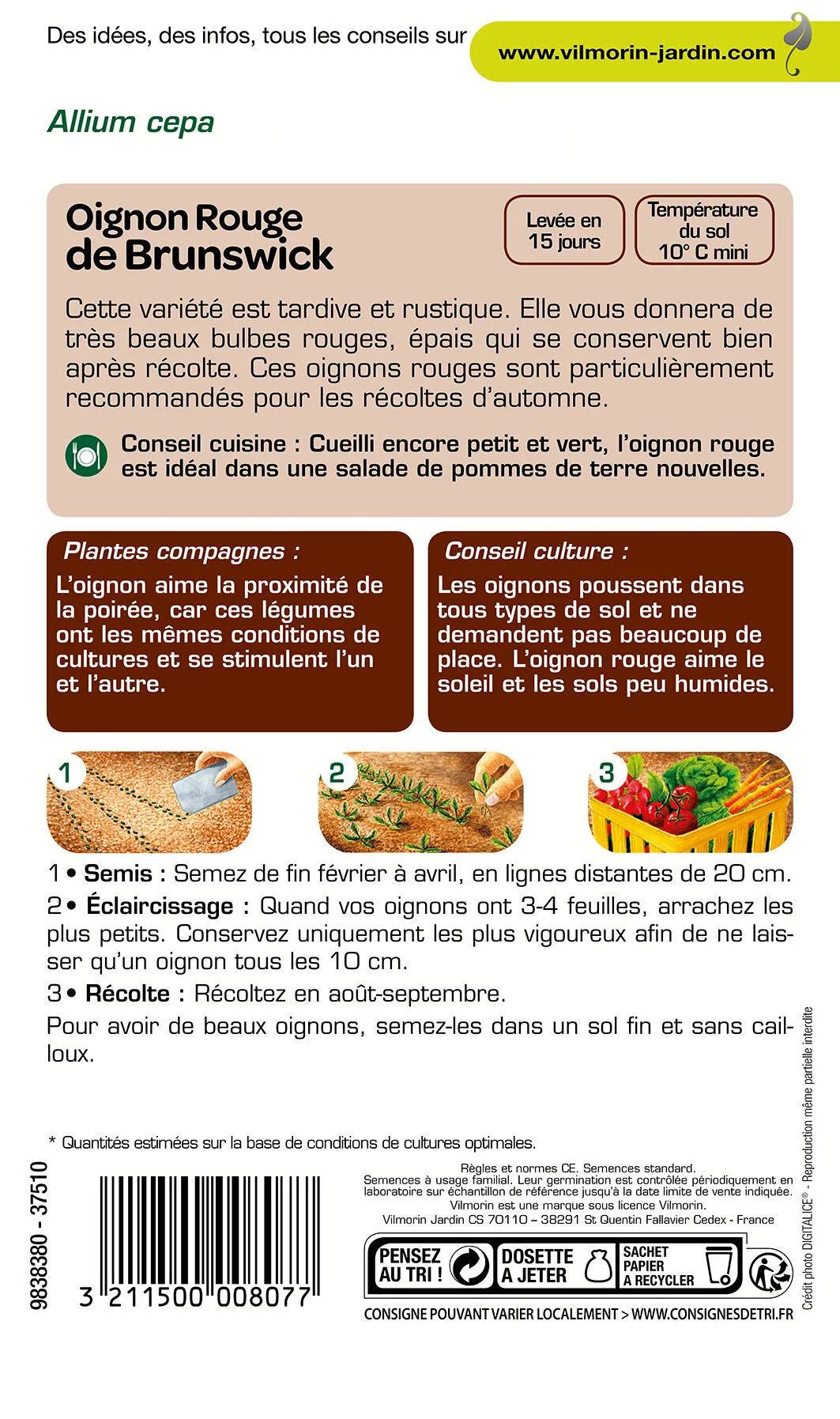Vilmorin - Oignon rouge de Brunswick série 1 sachet graines 5 g - Vilmorin - Image 3