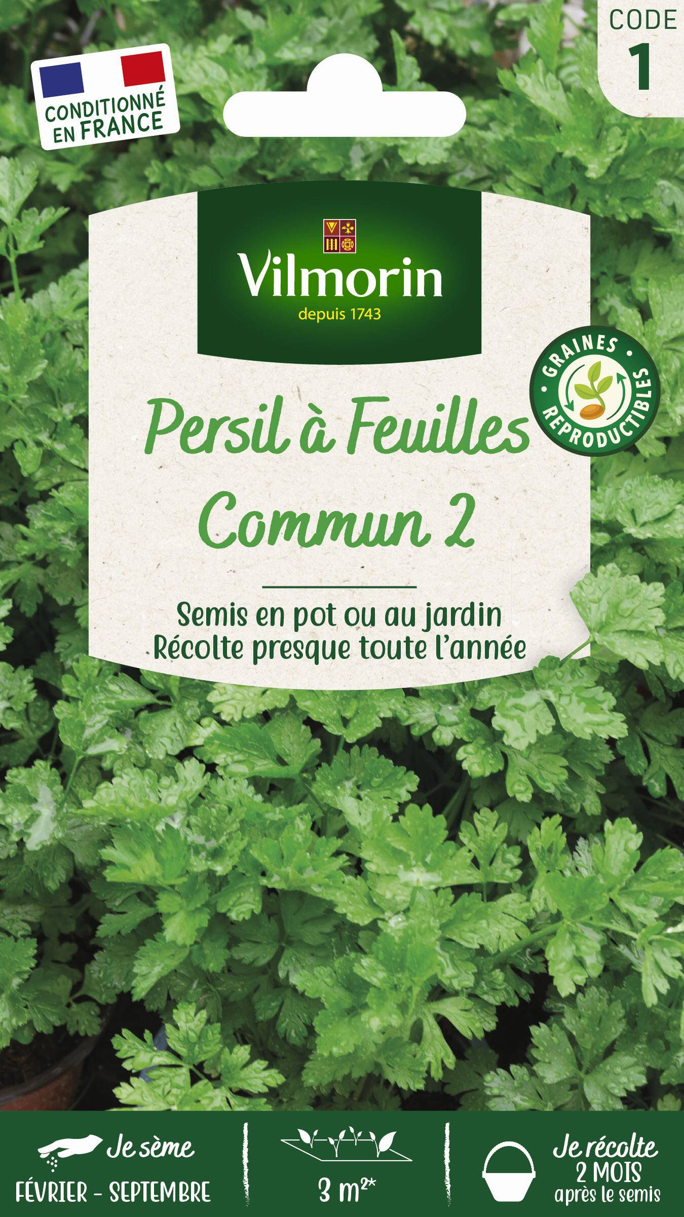 Vilmorin - Persil à feuilles commun 2 officinal série 1 sachet graines 5 g - Vilmorin - Image 2