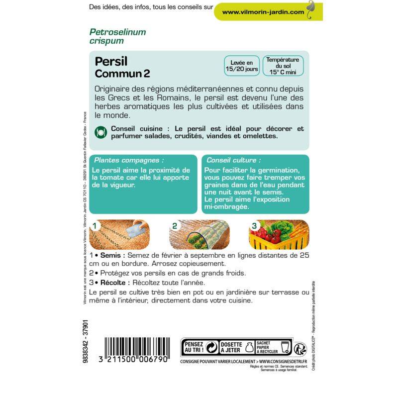 Vilmorin - Persil à feuilles commun 2 officinal série 1 sachet graines 5 g - Vilmorin - Image 4