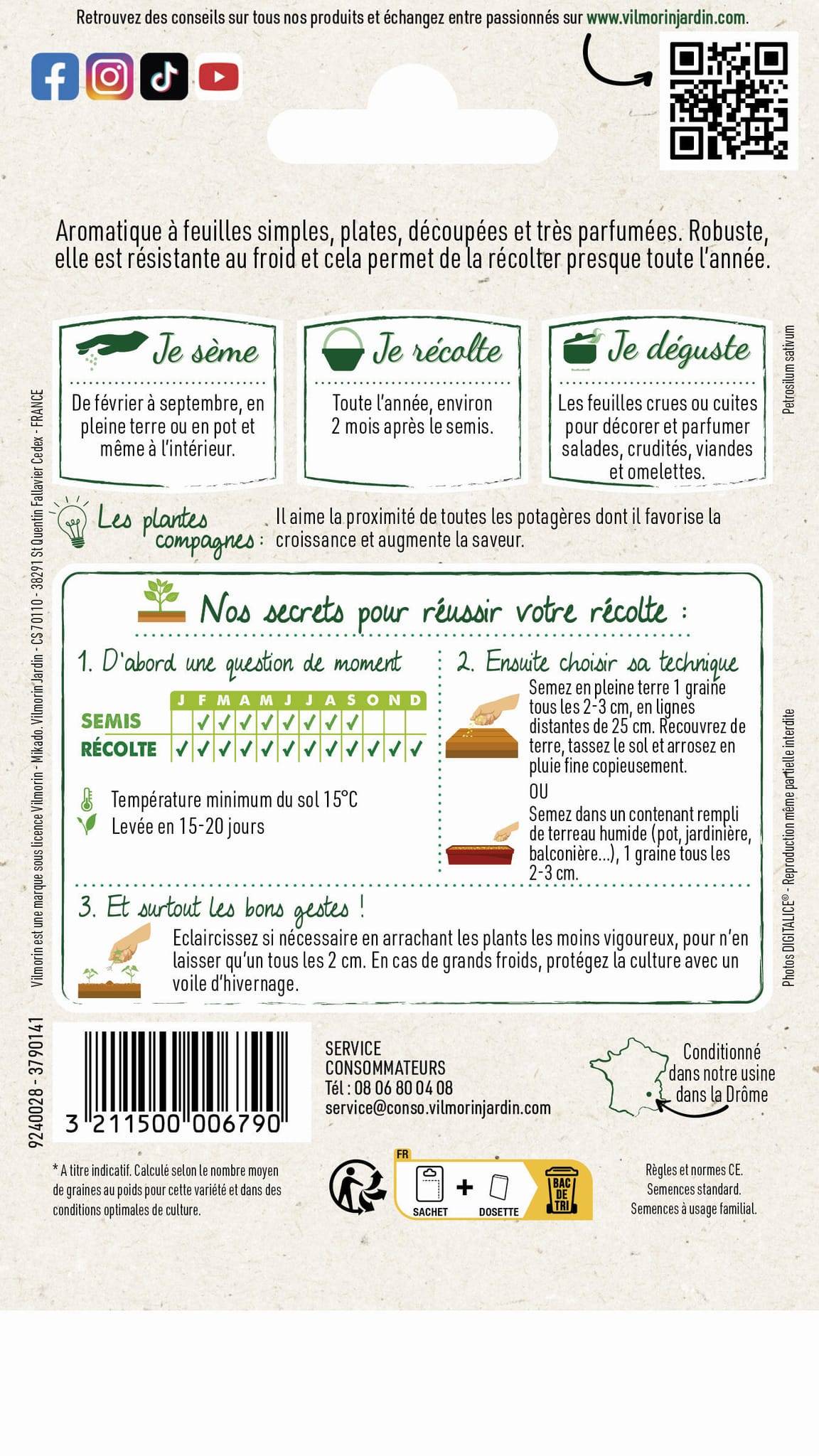 Vilmorin - Persil à feuilles commun 2 officinal série 1 sachet graines 5 g - Vilmorin - Image 4