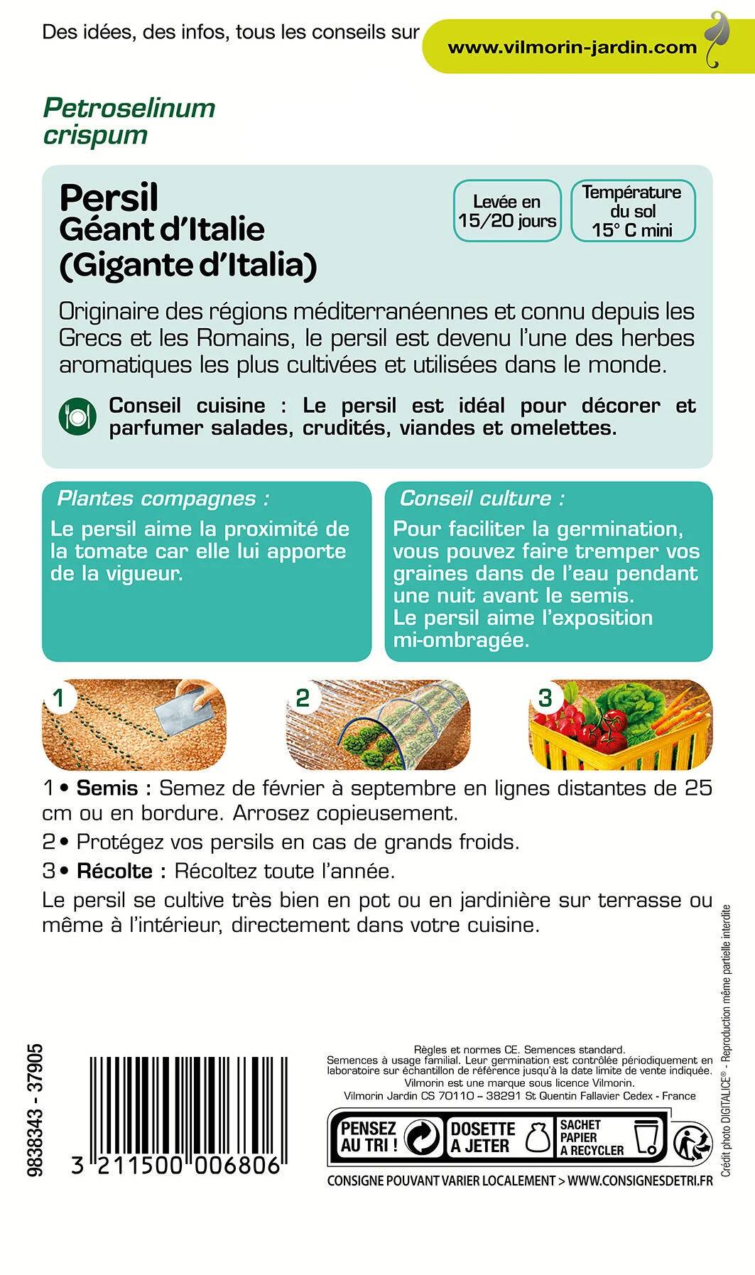 Vilmorin - Persil à feuilles commun géant d Italie série 2 sachet graines 5 g - Vilmorin - Image 3