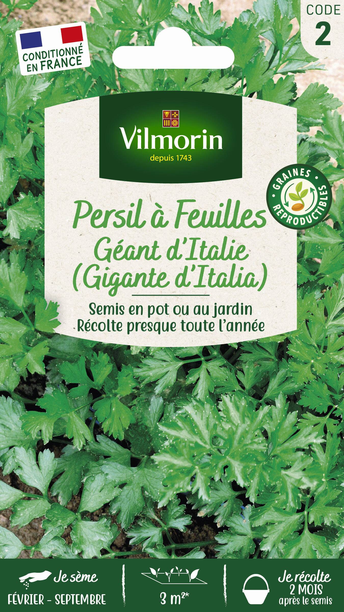 Vilmorin - Persil à feuilles commun géant d Italie série 2 sachet graines 5 g - Vilmorin