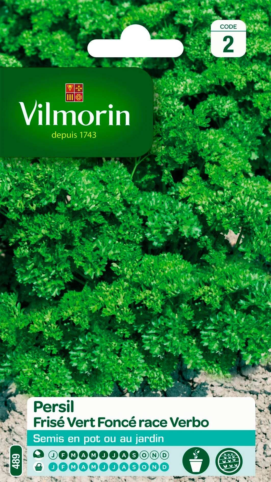 Vilmorin - Persil à feuilles frisé race Verbo sélection série 2 sachet graines 5 g - Vilmorin