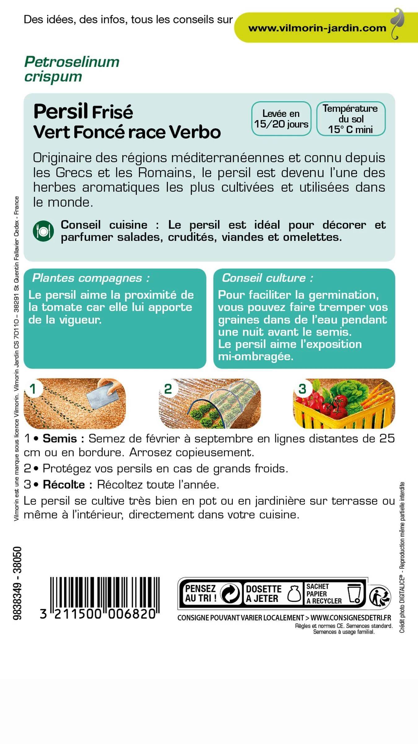 Vilmorin - Persil à feuilles frisé race Verbo sélection série 2 sachet graines 5 g - Vilmorin - Image 1