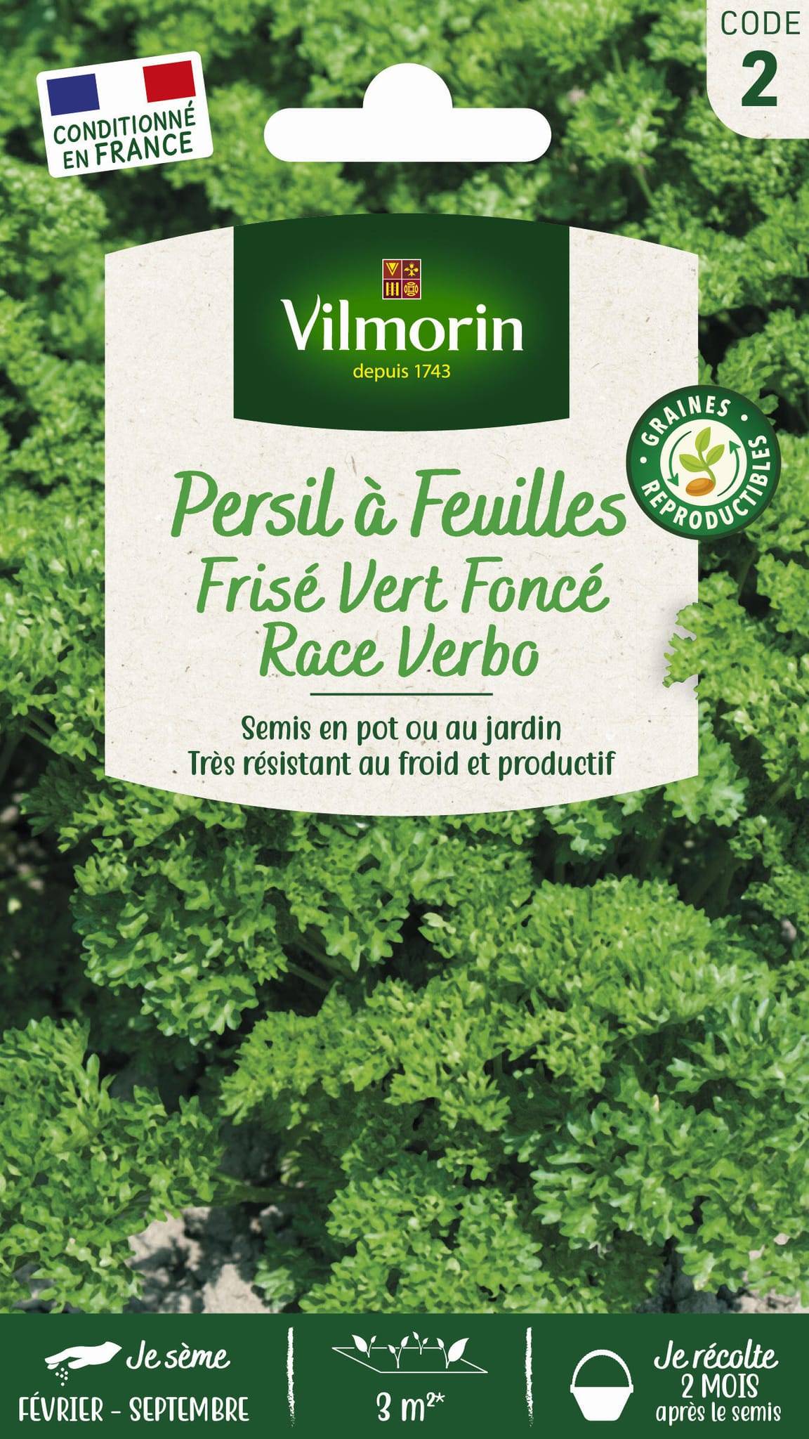 Vilmorin - Persil à feuilles frisé race Verbo sélection série 2 sachet graines 5 g - Vilmorin - Image 3