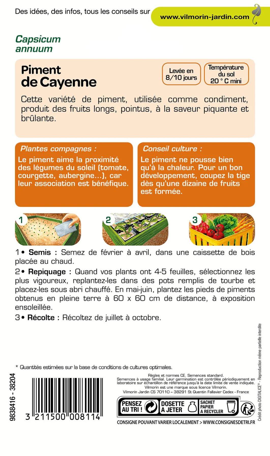 Vilmorin - Piment de Cayenne série 1 sachet graines 2 g - Vilmorin - Image 4