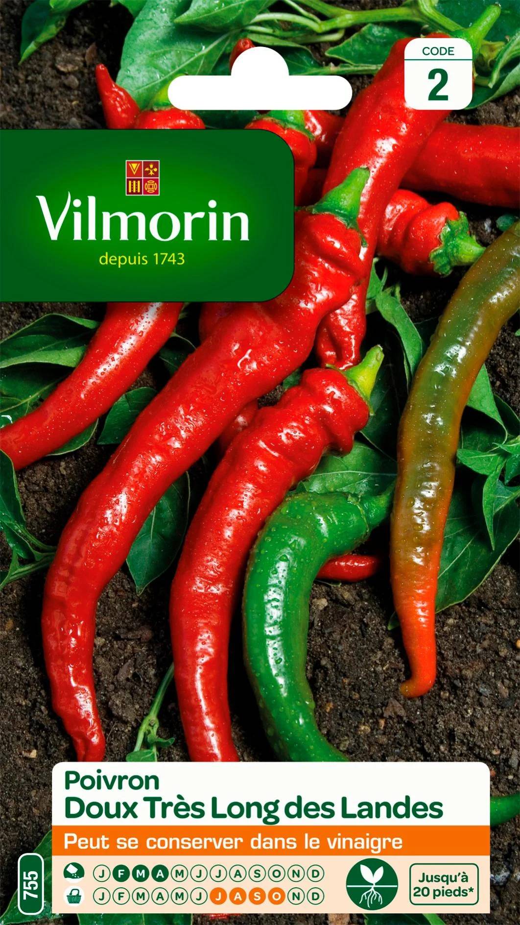 Vilmorin - Poivron doux long des Landes série 2 sachet graines 2 g - Vilmorin - Image 3