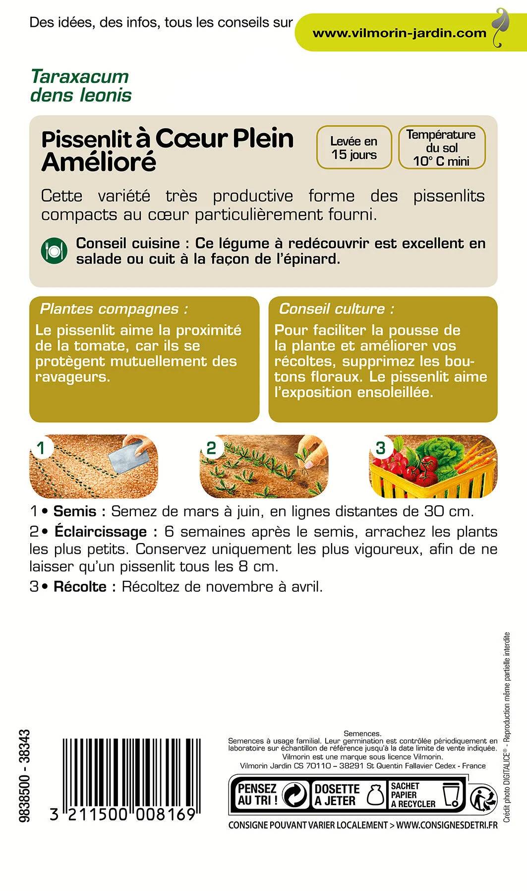 Vilmorin - Pissenlit à cœur plein améliore série 1 sachet graines 1 g - Vilmorin - Image 3