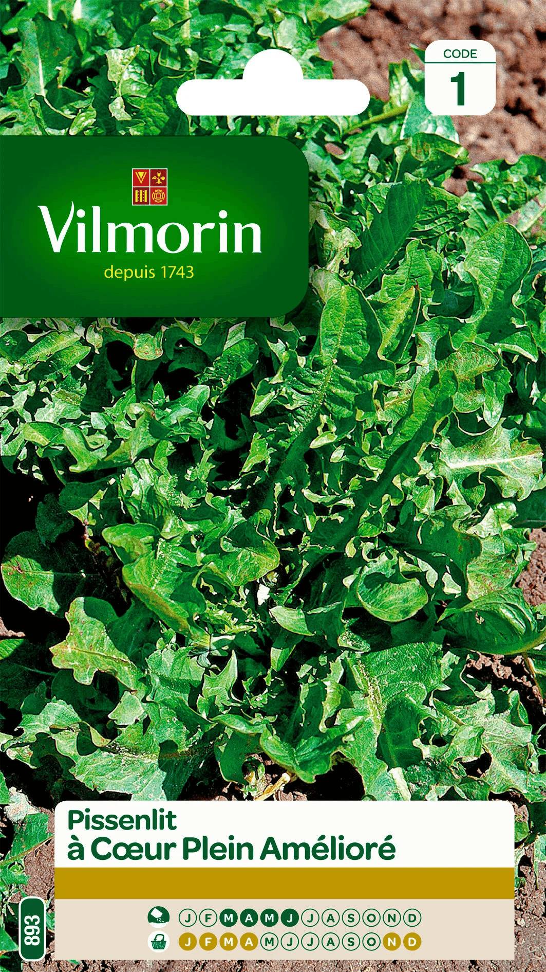 Vilmorin - Pissenlit à cœur plein améliore série 1 sachet graines 1 g - Vilmorin - Image 2