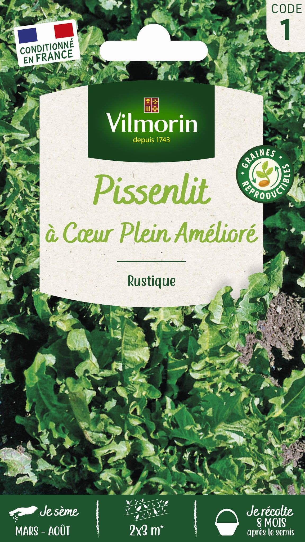 Vilmorin - Pissenlit à cœur plein améliore série 1 sachet graines 1 g - Vilmorin - Image 1