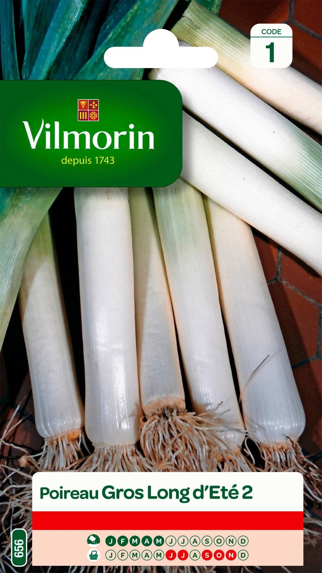 Vilmorin - Poireau Gros long d'été 2 série 1 sachet graines 4 g - Vilmorin - Image 4