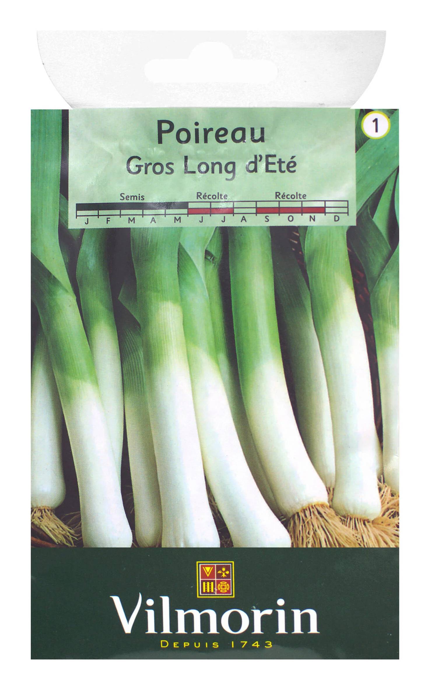 Vilmorin - Poireau Gros long d'été 2 série 1 sachet graines 4 g - Vilmorin