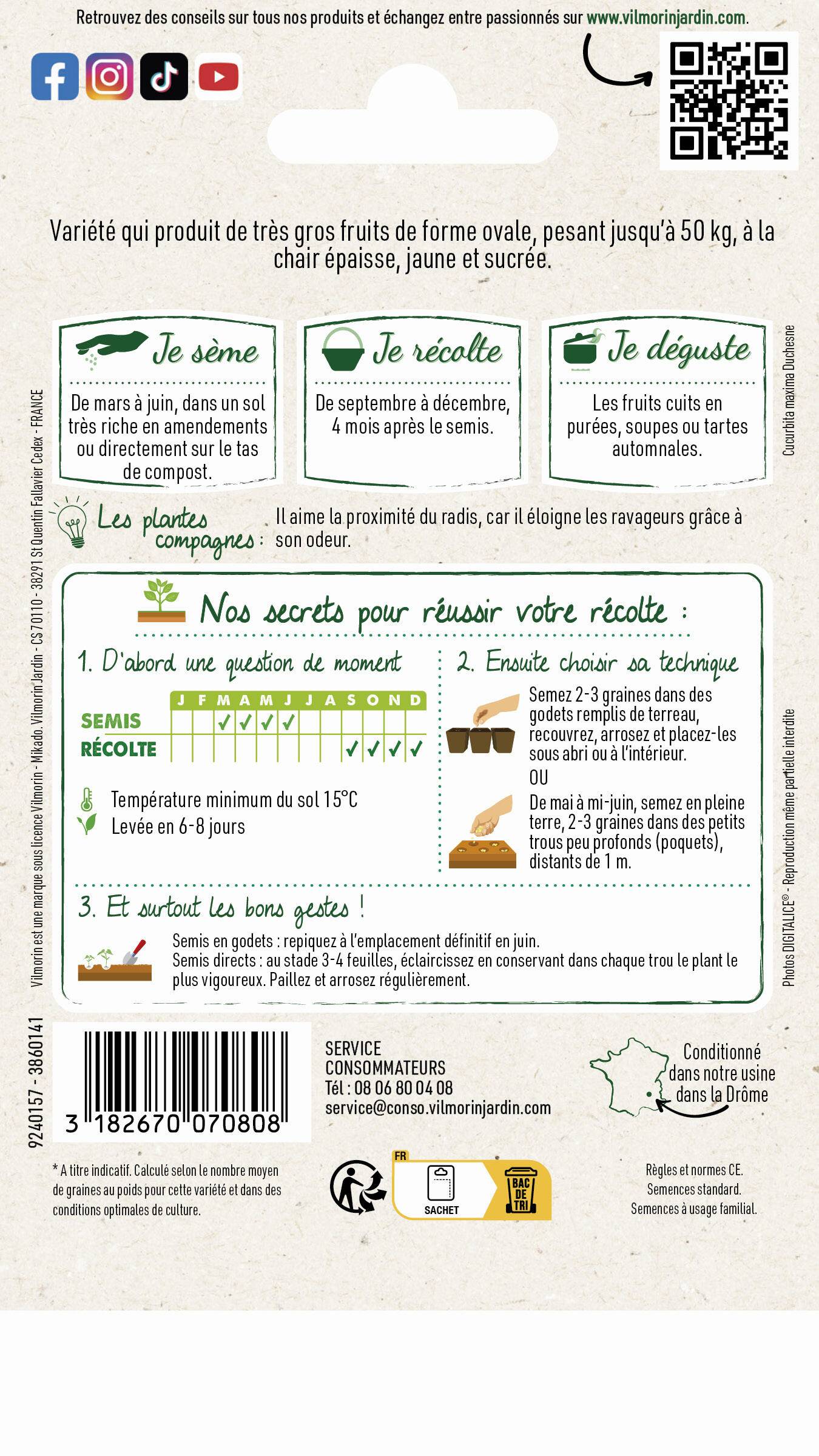 Vilmorin - Potiron jaune Gros de Paris série 1 sachet graines 6 g - Vilmorin - Image 4