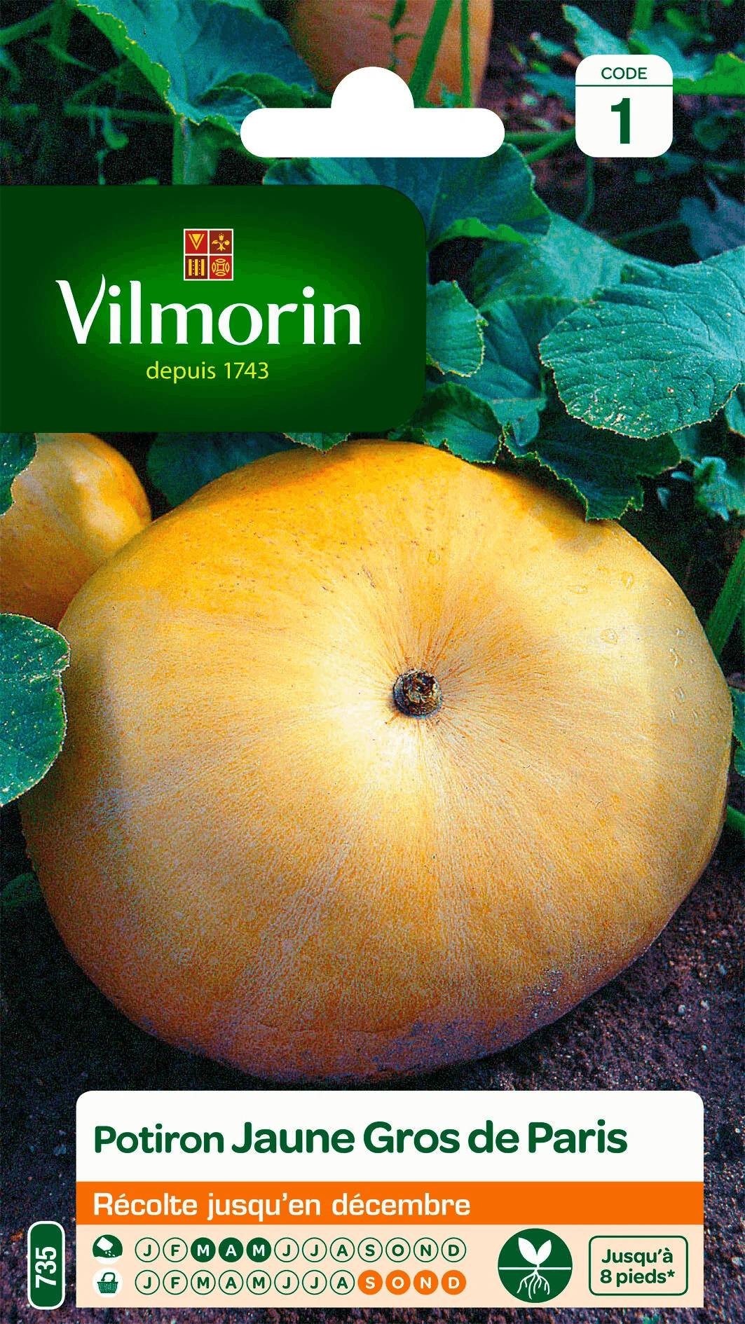 Vilmorin - Potiron jaune Gros de Paris série 1 sachet graines 6 g - Vilmorin - Image 2