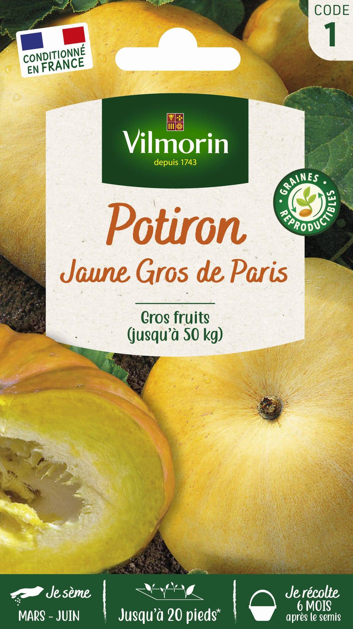 Vilmorin - Potiron jaune Gros de Paris série 1 sachet graines 6 g - Vilmorin - Image 3