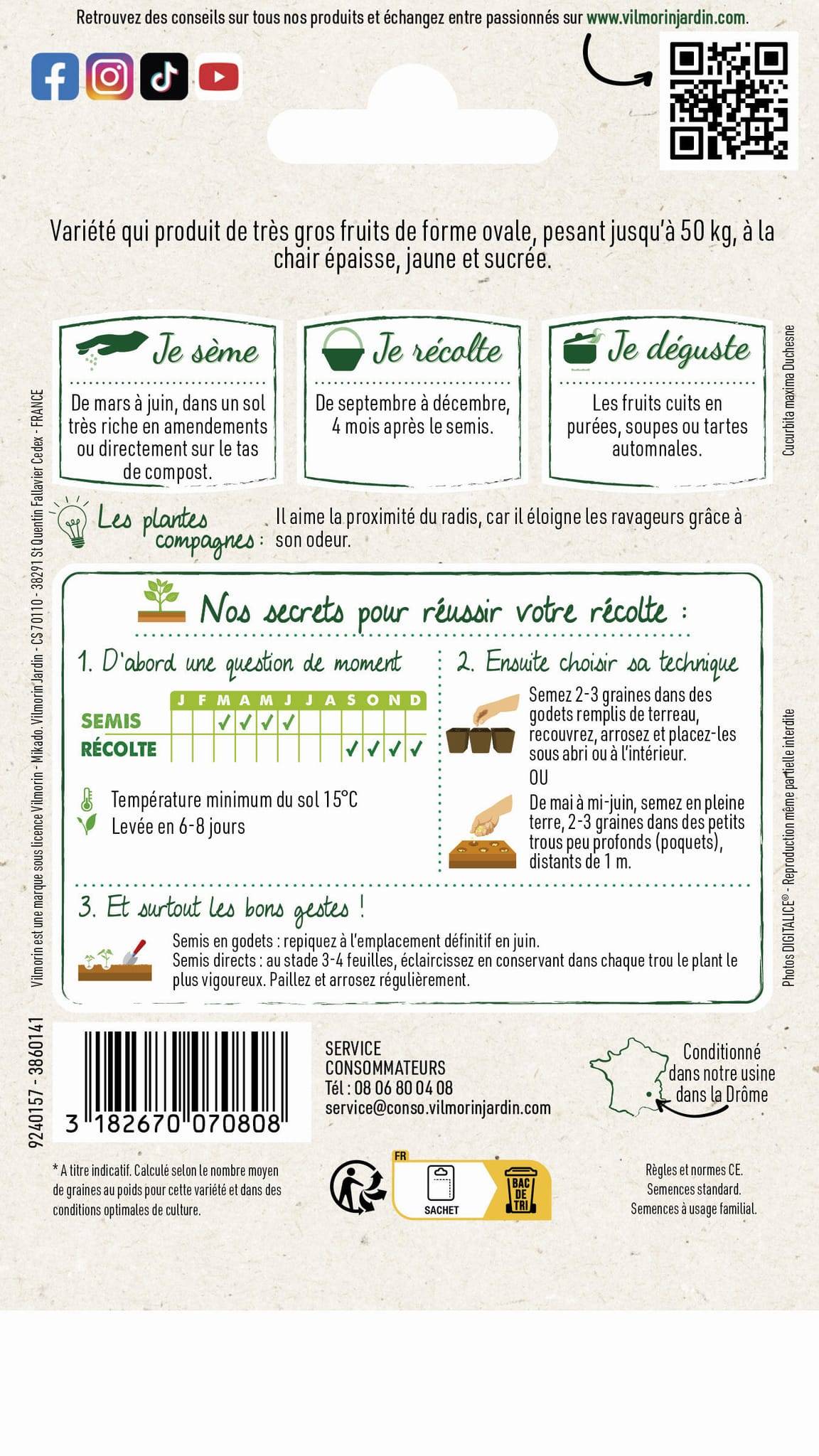 Vilmorin - Potiron jaune Gros de Paris série 1 sachet graines 6 g - Vilmorin - Image 4
