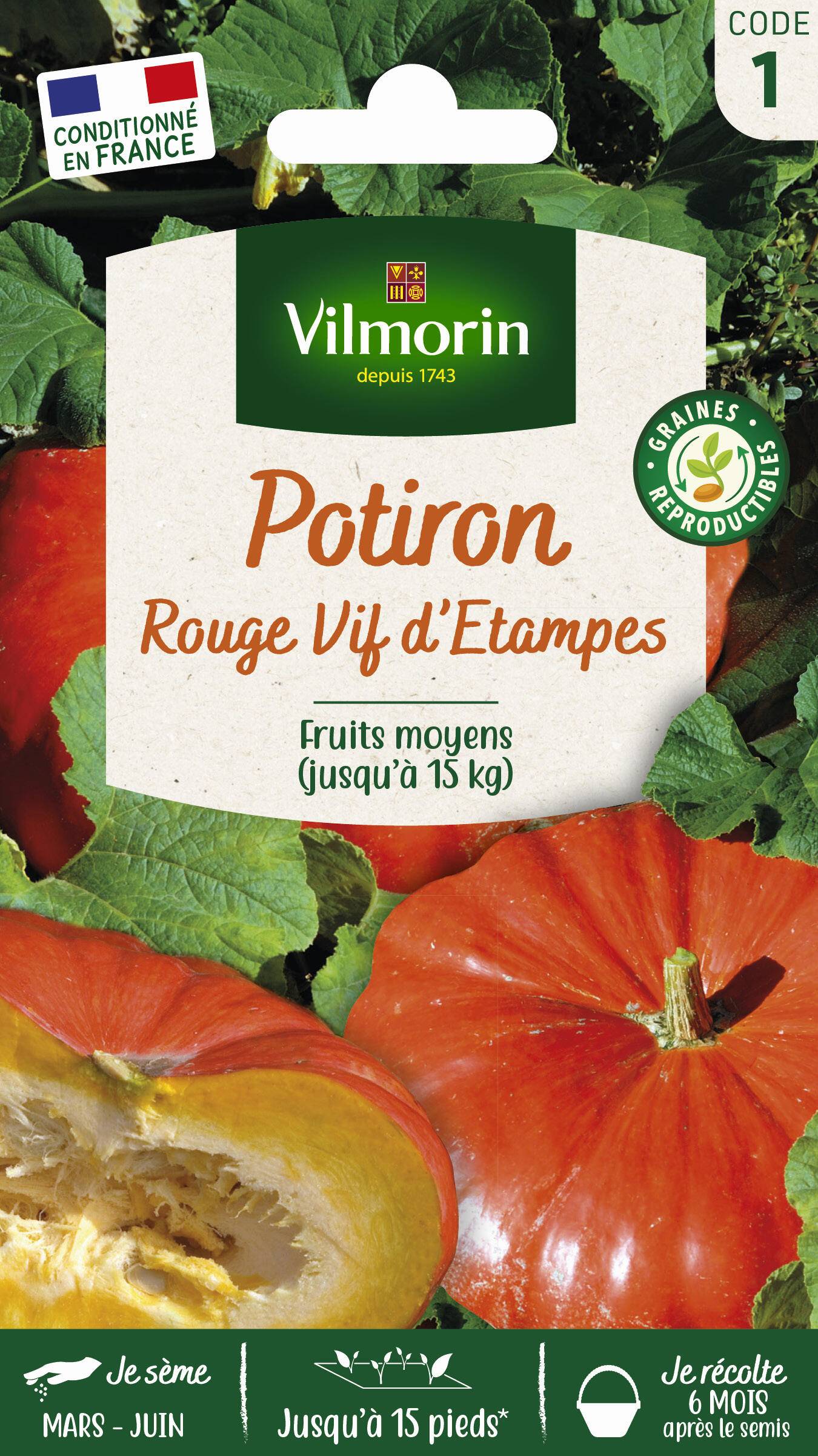 Vilmorin - Potiron rouge vif d'Etampes série 1 sachet graines 6 g - Vilmorin - Image 1