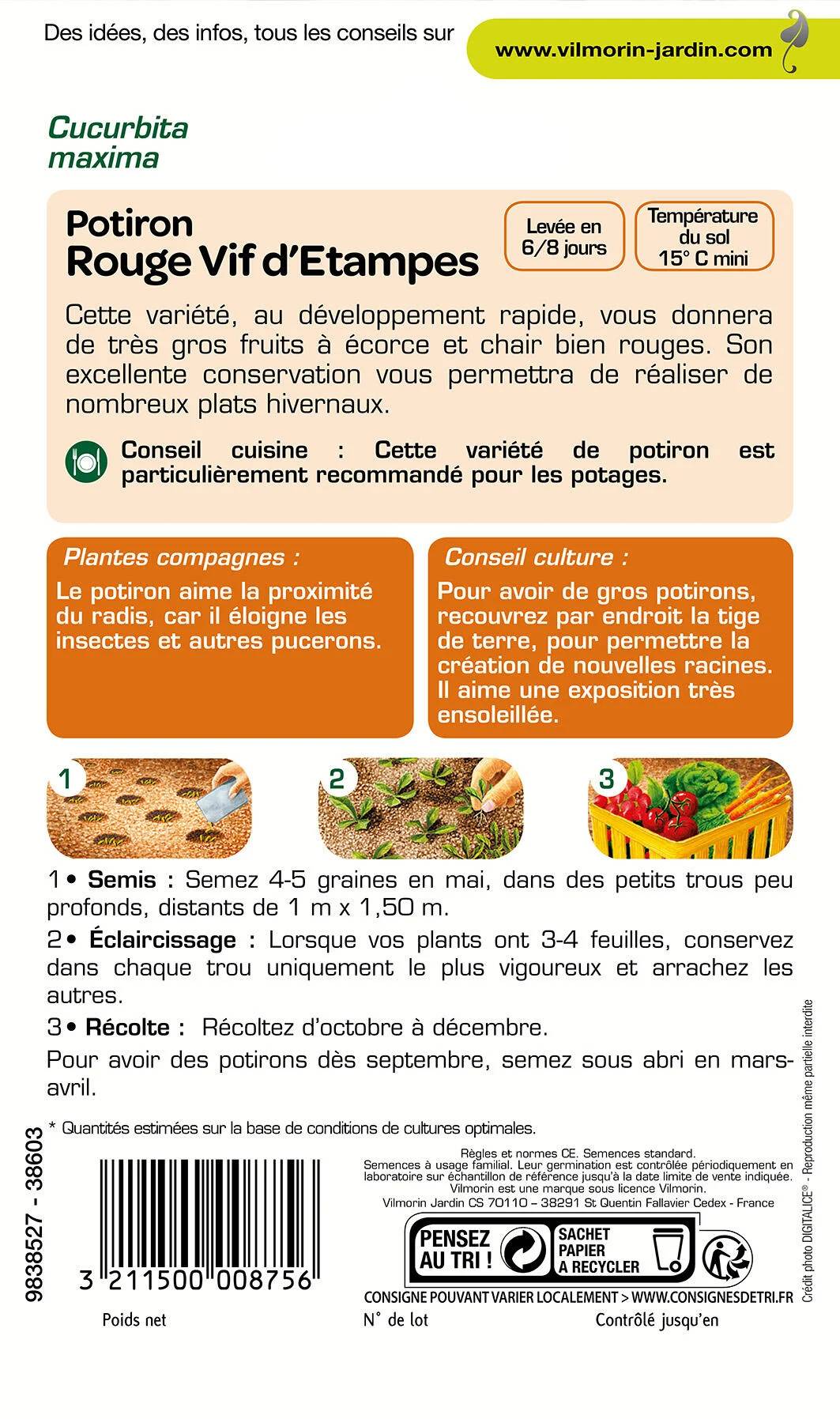 Vilmorin - Potiron rouge vif d'Etampes série 1 sachet graines 6 g - Vilmorin - Image 3