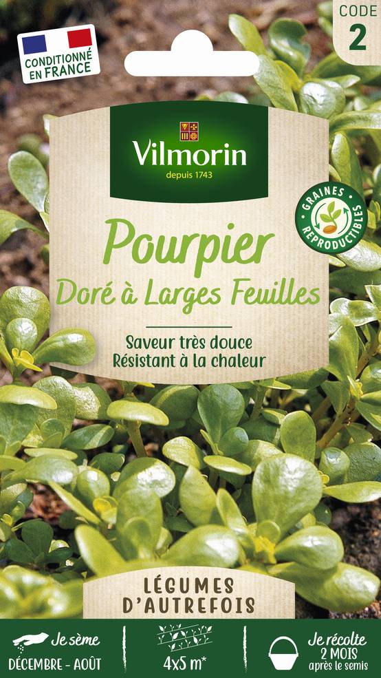 Pourpier doré à larges feuilles 3 g – Vilmorin - Image 2