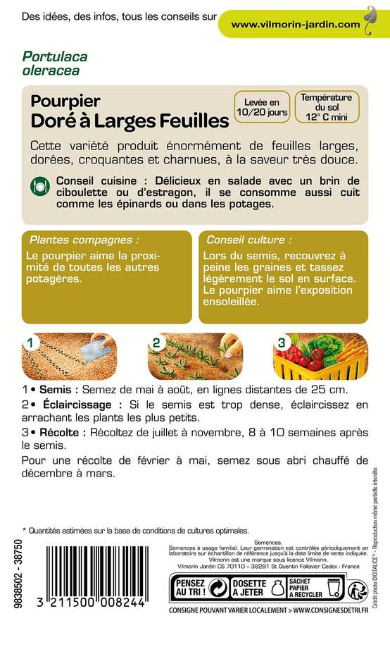 Pourpier doré à larges feuilles 3 g – Vilmorin - Image 3