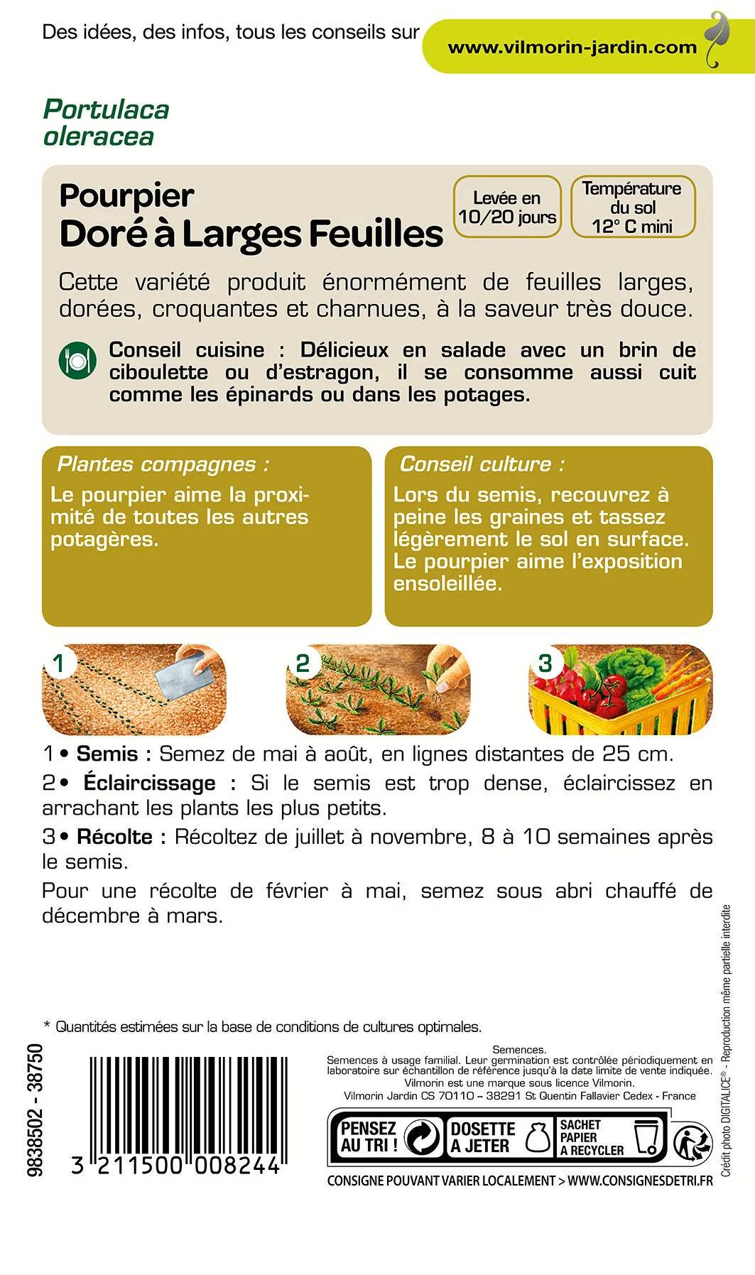 Pourpier doré à larges feuilles 3 g – Vilmorin - Image 3