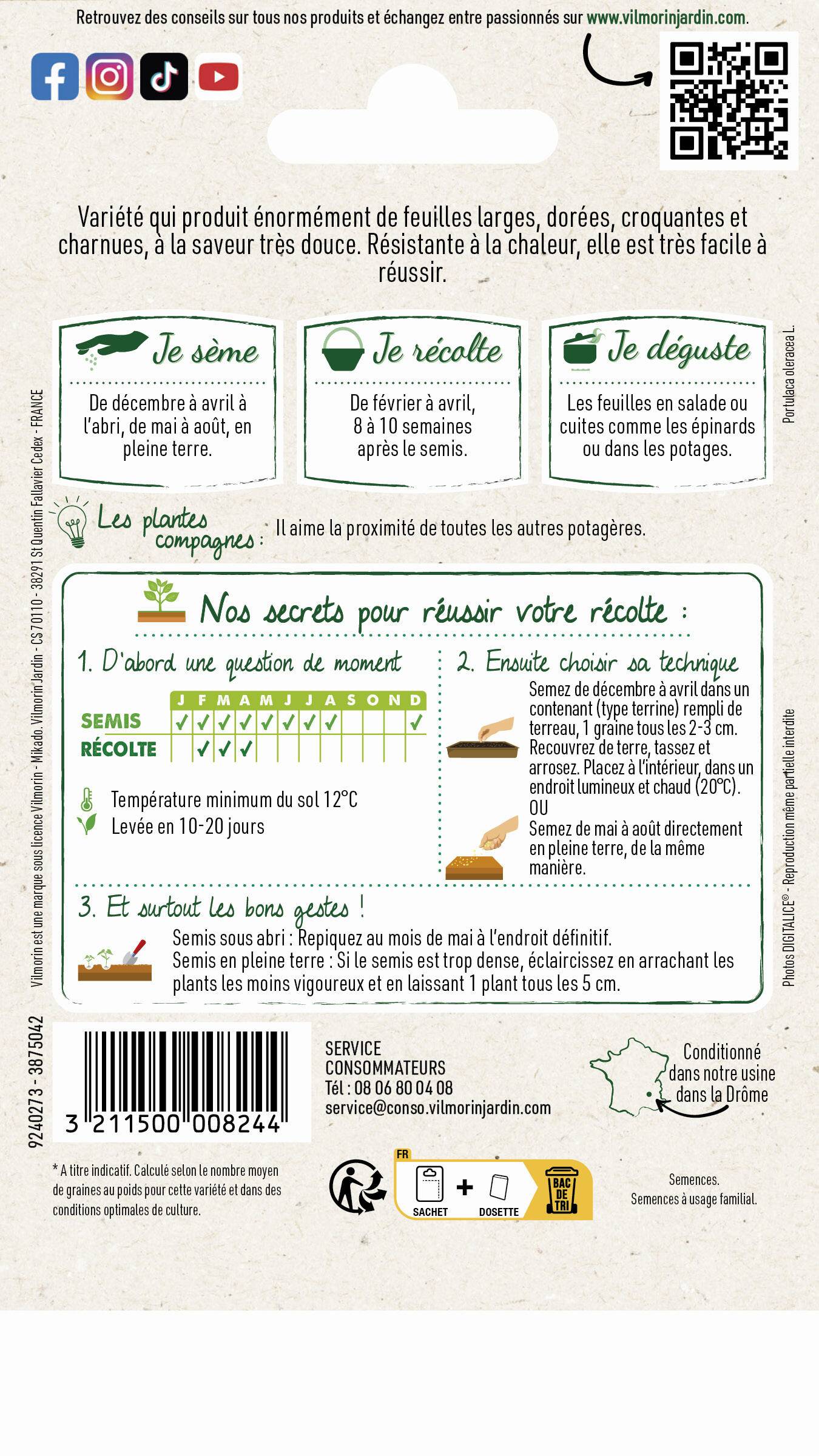 Pourpier doré à larges feuilles 3 g – Vilmorin - Image 4