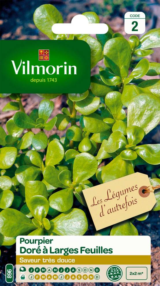 Pourpier doré à larges feuilles 3 g – Vilmorin - Image 1
