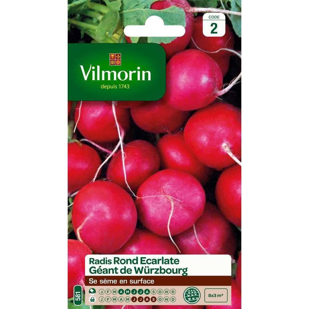 Vilmorin - Radis rond écarlate géant de Wurzbourg série 2 sachet graines 6 g - Vilmorin - Image 2