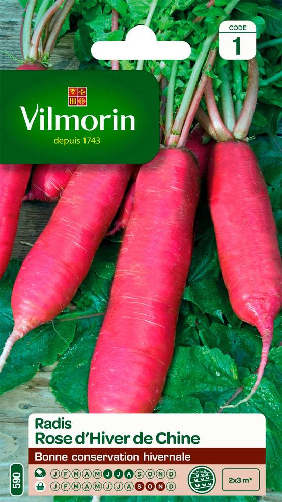 Vilmorin - Radis rose d'hiver de Chine série 1 sachet graines 6 g - Vilmorin - Image 1