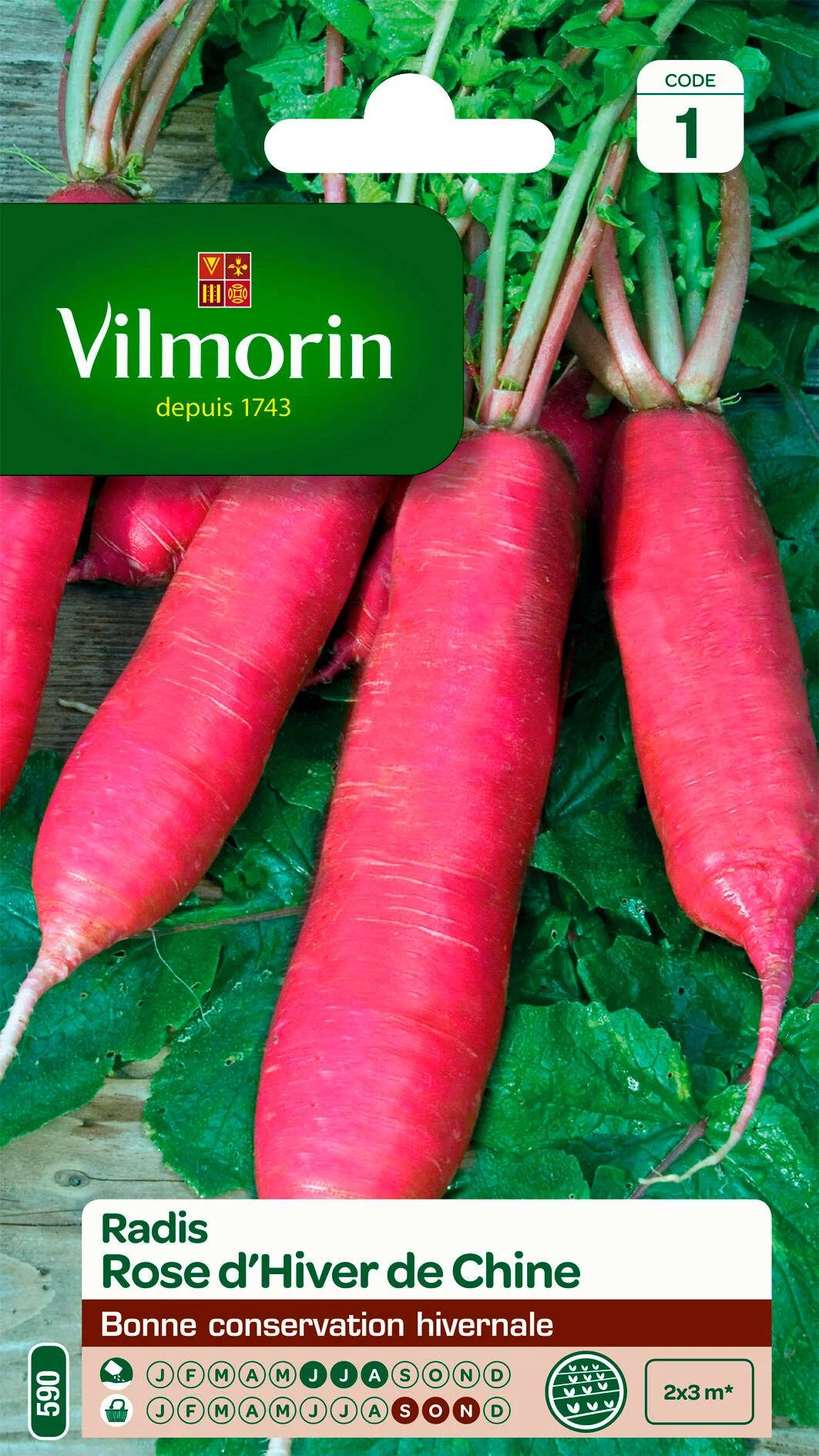 Vilmorin - Radis rose d'hiver de Chine série 1 sachet graines 6 g - Vilmorin - Image 1