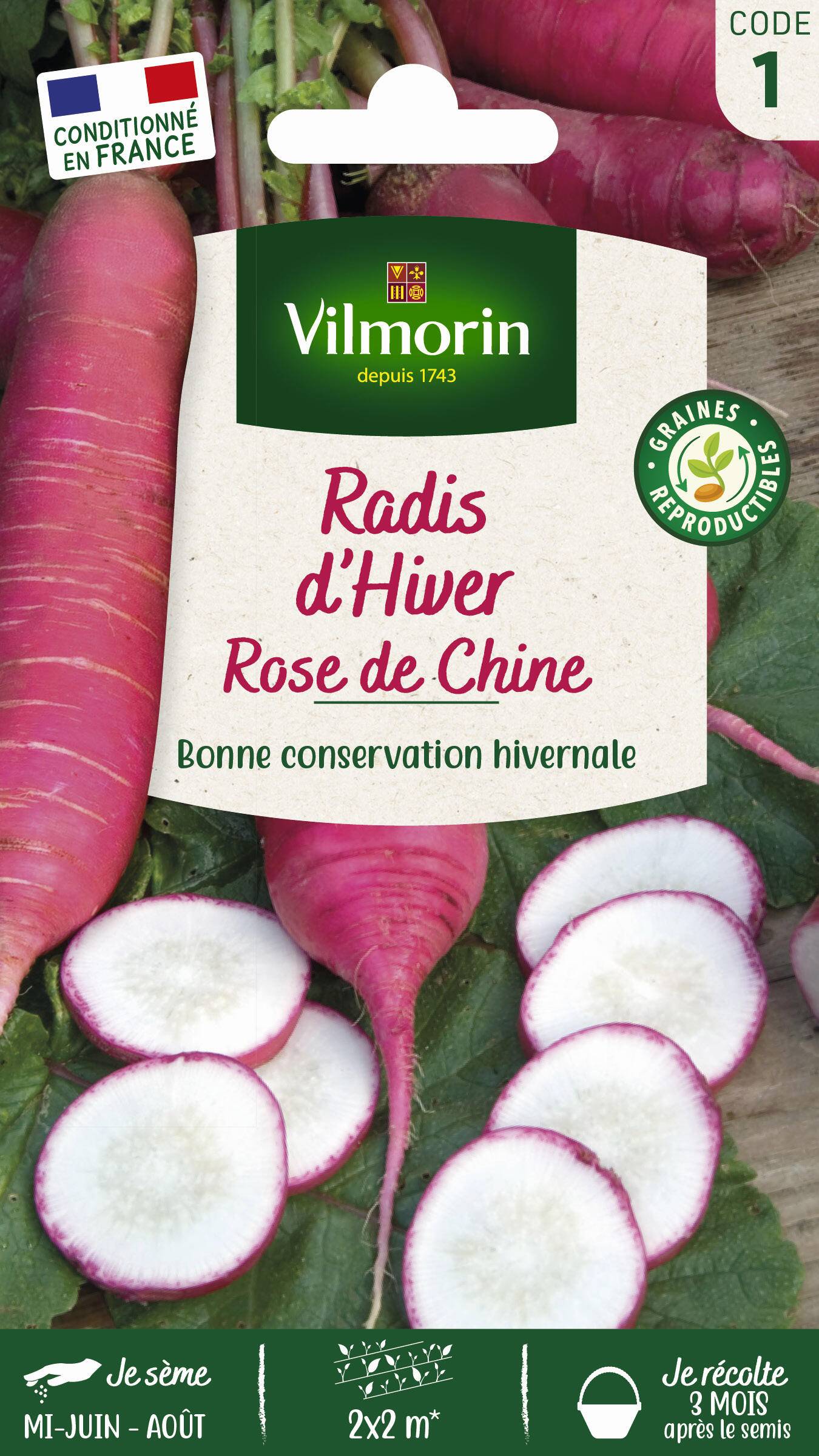 Vilmorin - Radis rose d'hiver de Chine série 1 sachet graines 6 g - Vilmorin - Image 3
