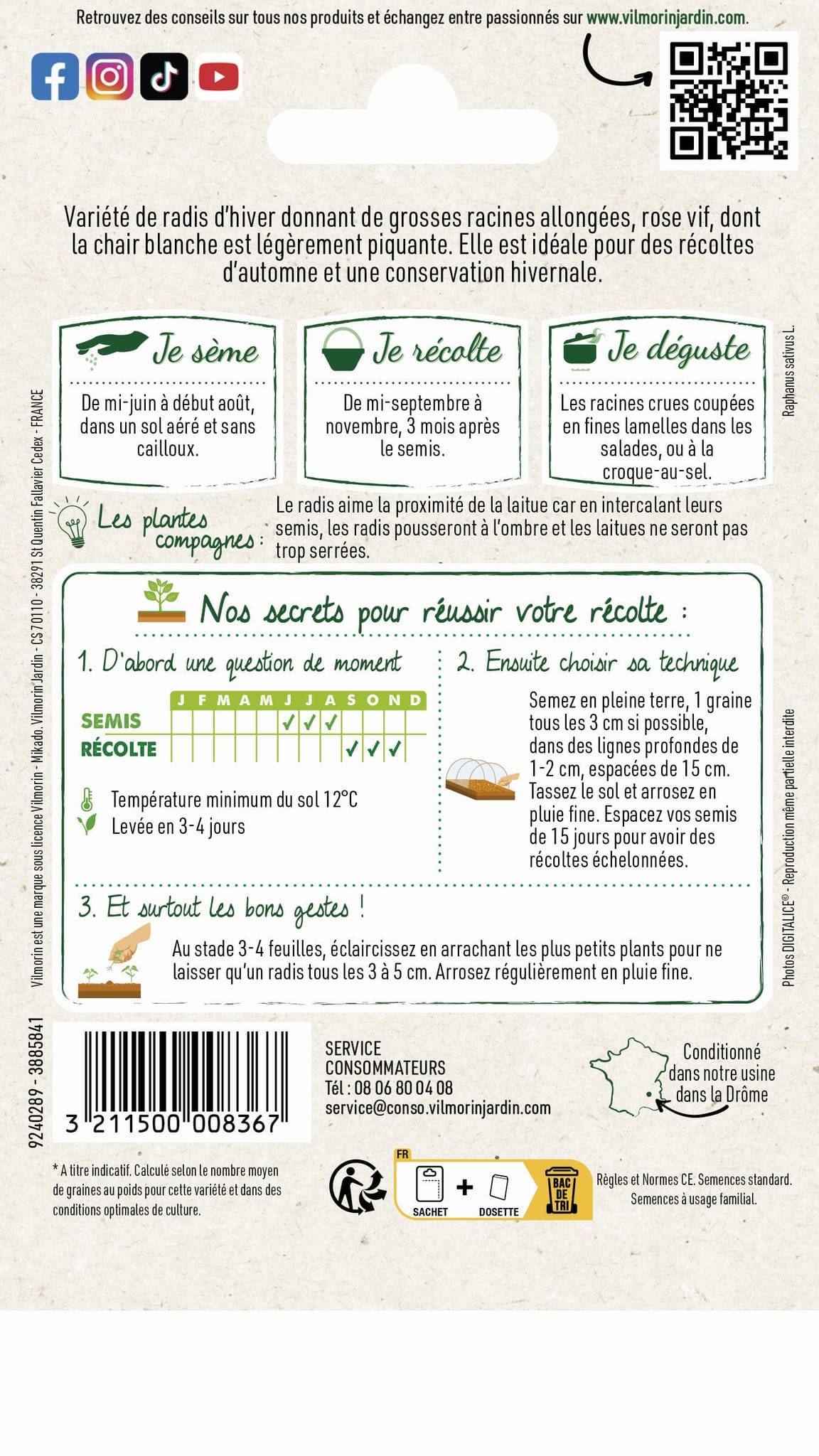 Vilmorin - Radis rose d'hiver de Chine série 1 sachet graines 6 g - Vilmorin - Image 4
