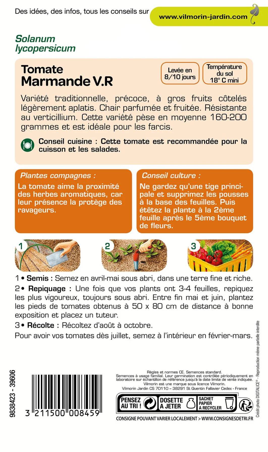 Vilmorin - Tomate Marmande série 1 sachet graines 1,5 g - Vilmorin - Image 4