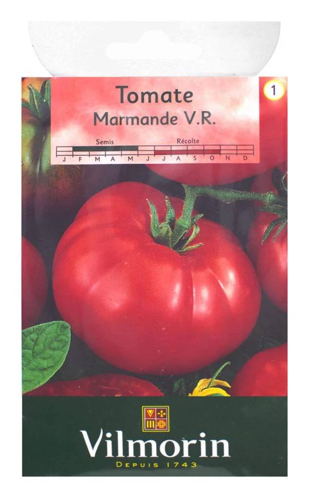 Vilmorin - Tomate Marmande série 1 sachet graines 1,5 g - Vilmorin - Image 3
