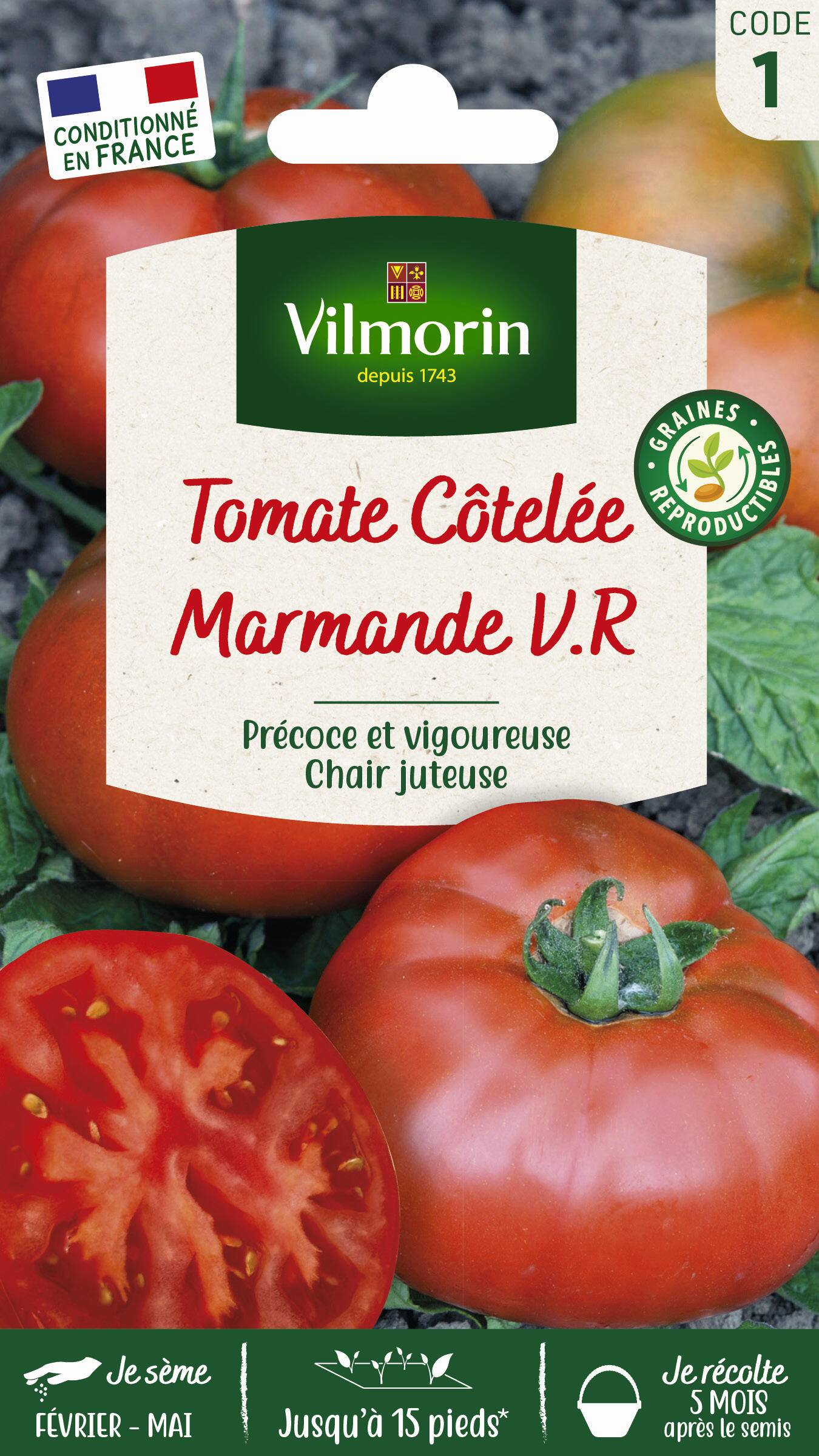 Vilmorin - Tomate Marmande série 1 sachet graines 1,5 g - Vilmorin - Image 1