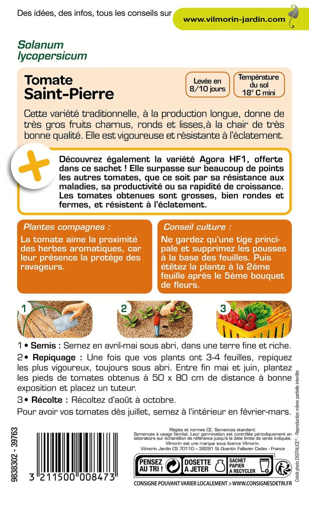 Vilmorin - Tomate Saint Pierre + échantillon tomate agora série 1 sachet graines 1,5 g - Vilmorin - Image 3