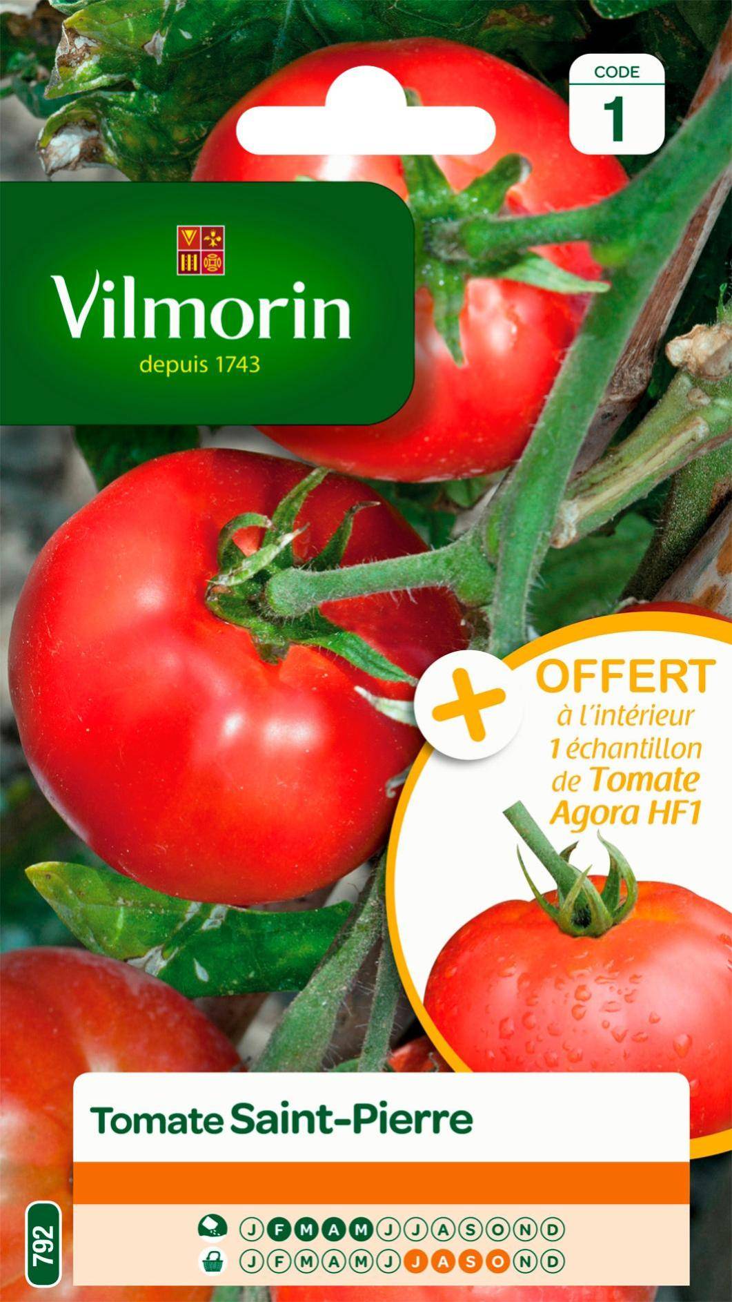 Vilmorin - Tomate Saint Pierre + échantillon tomate agora série 1 sachet graines 1,5 g - Vilmorin - Image 1